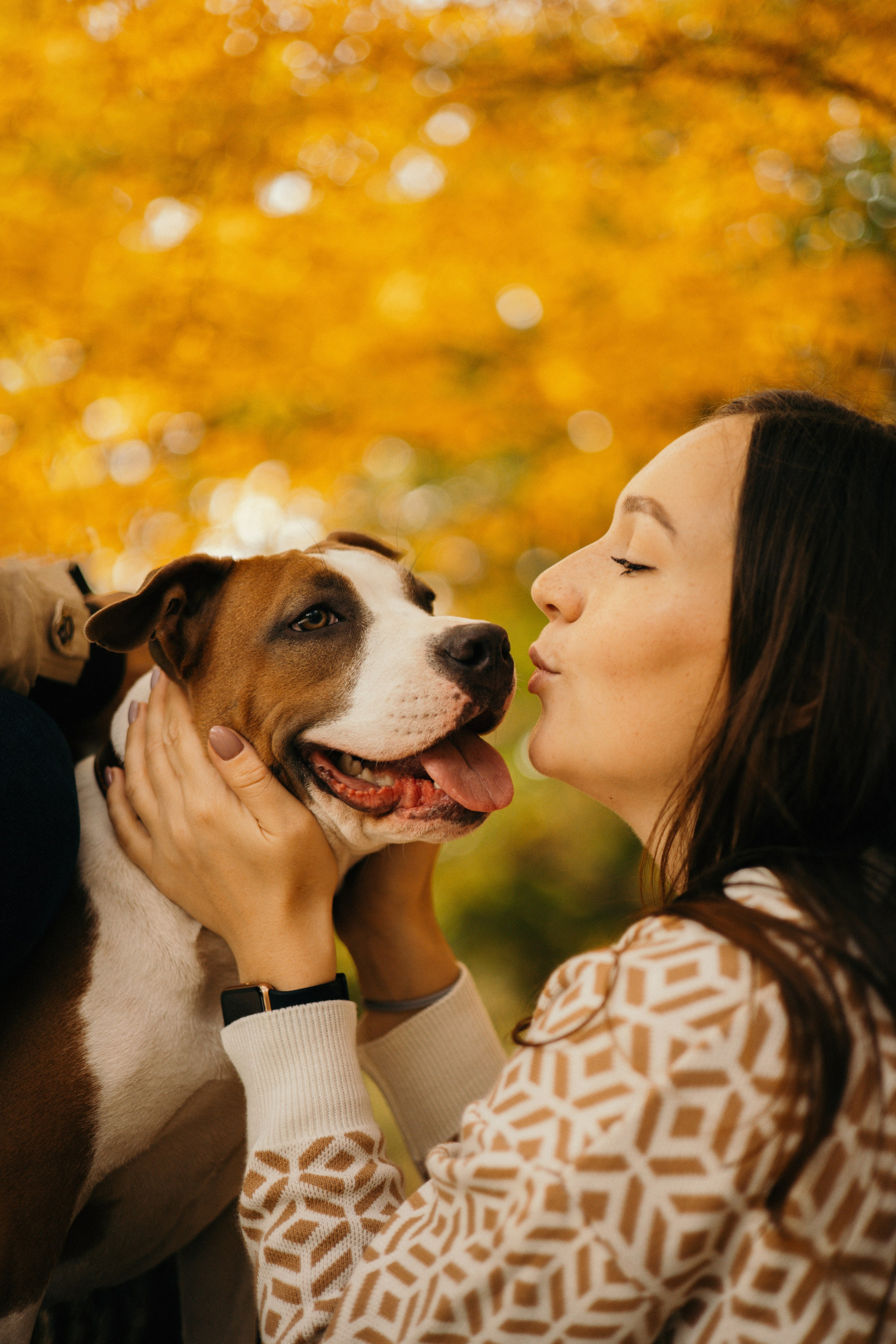 Лаффи и ее семья. Фотограф — анималист Владивосток, Алина