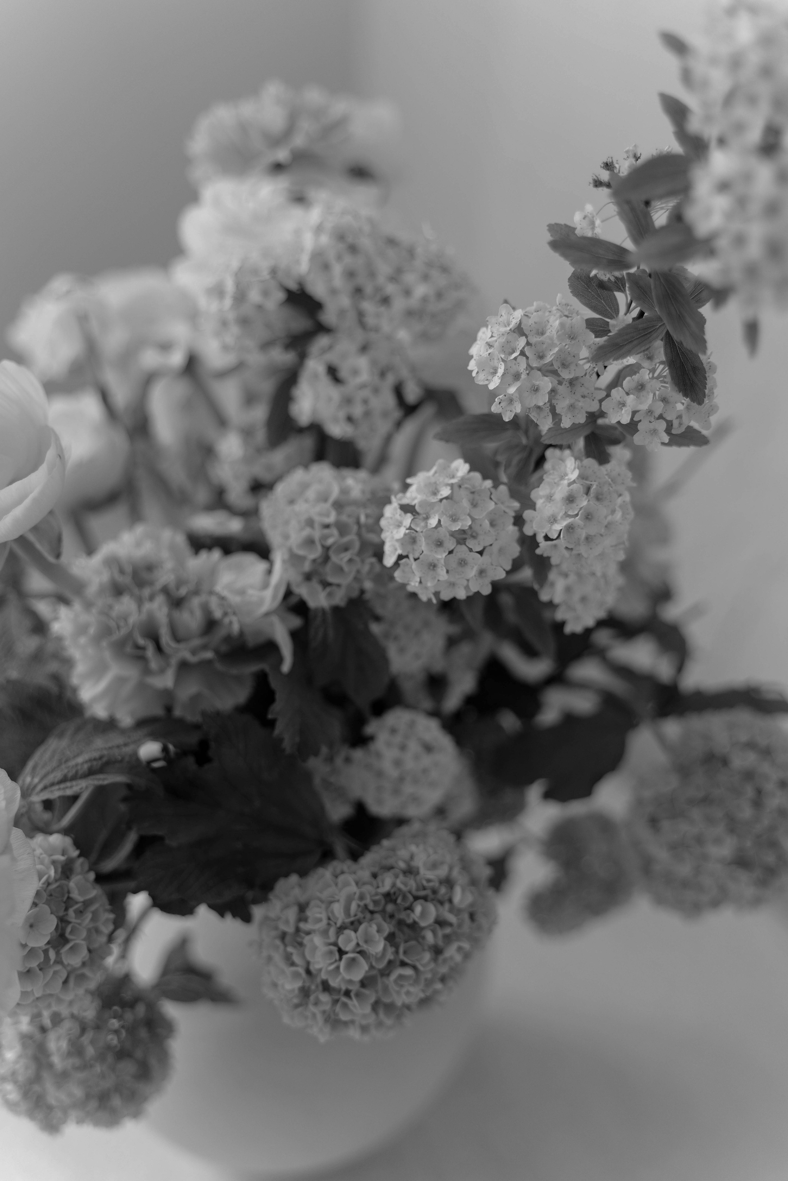 V & R. Свадебный фотограф в Краснодаре и Санкт-Петербурге Евгения Алексеева