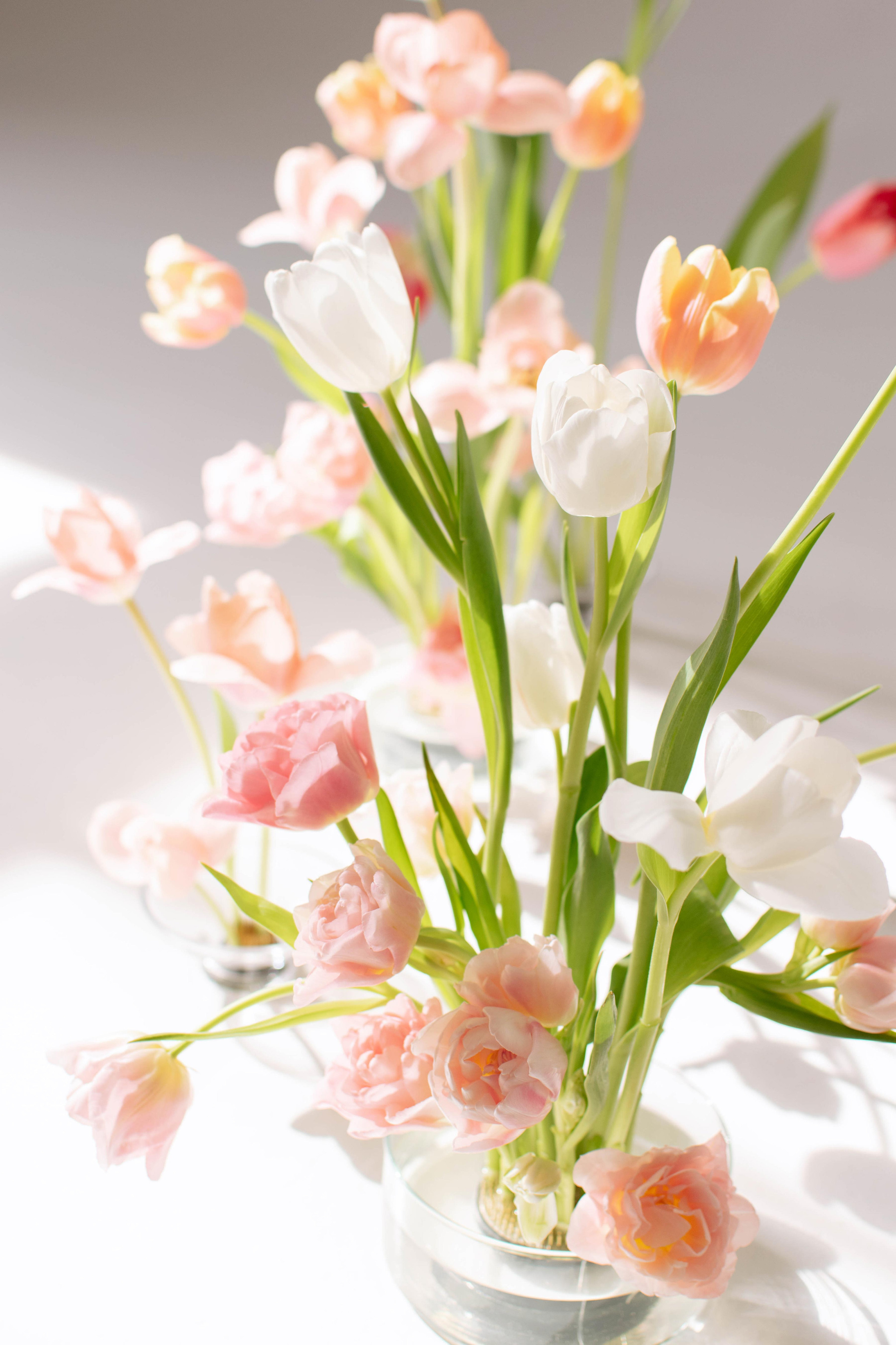 Весна. Свадебный фотограф в Краснодаре и Санкт-Петербурге Евгения Алексеева