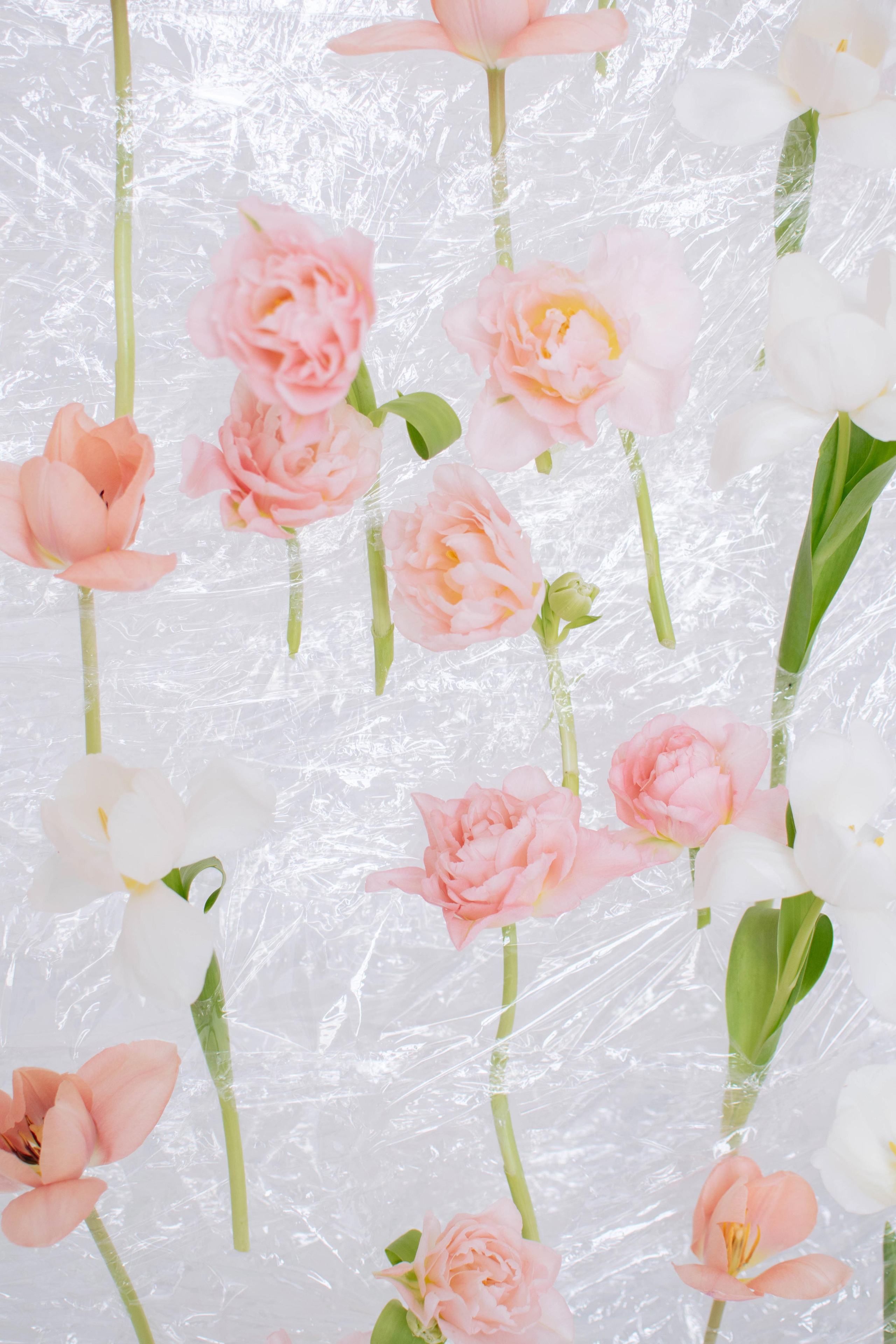 Весна. Свадебный фотограф в Краснодаре и Санкт-Петербурге Евгения Алексеева