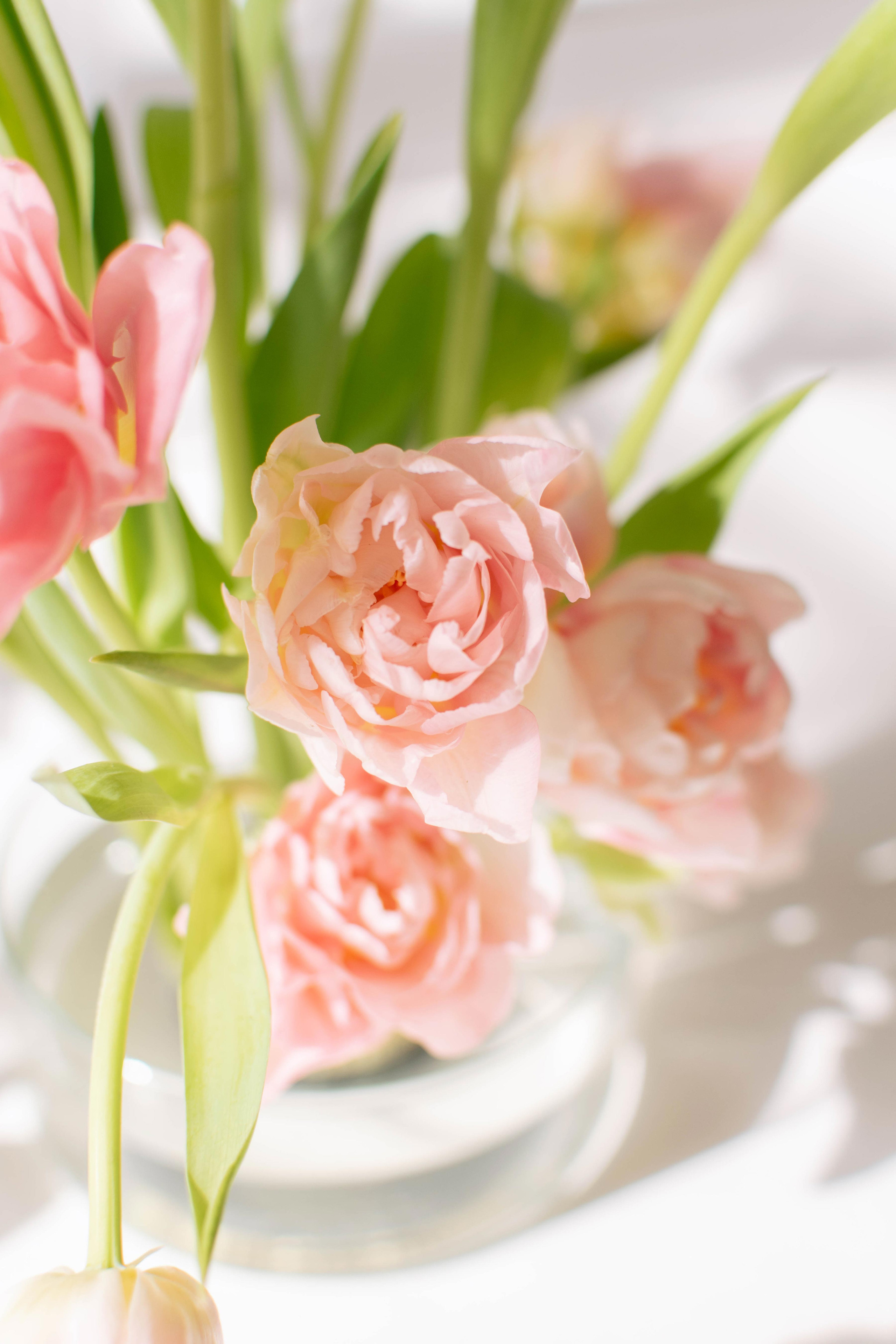 Весна. Свадебный фотограф в Краснодаре и Санкт-Петербурге Евгения Алексеева