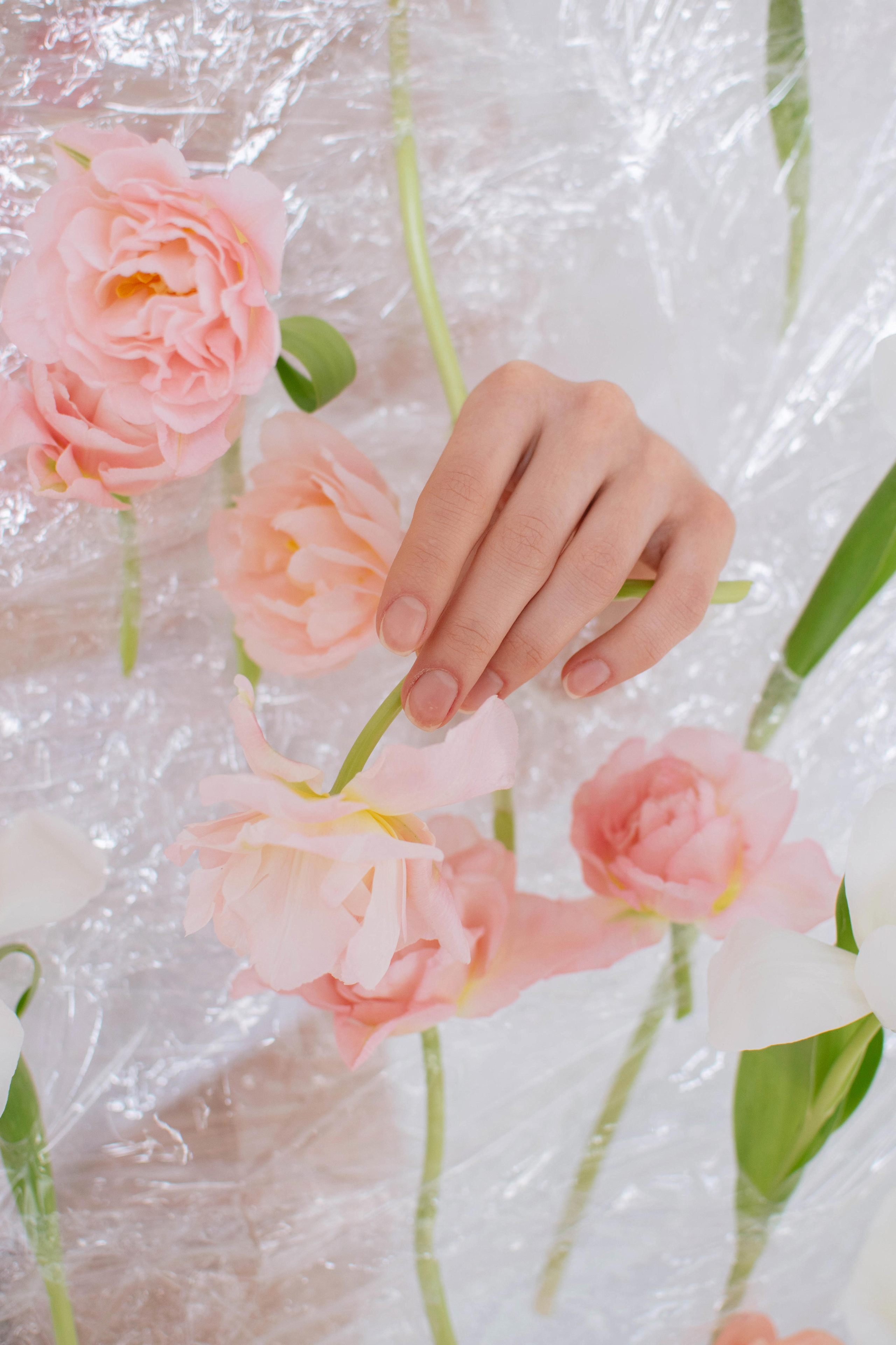 Весна. Свадебный фотограф в Краснодаре и Санкт-Петербурге Евгения Алексеева