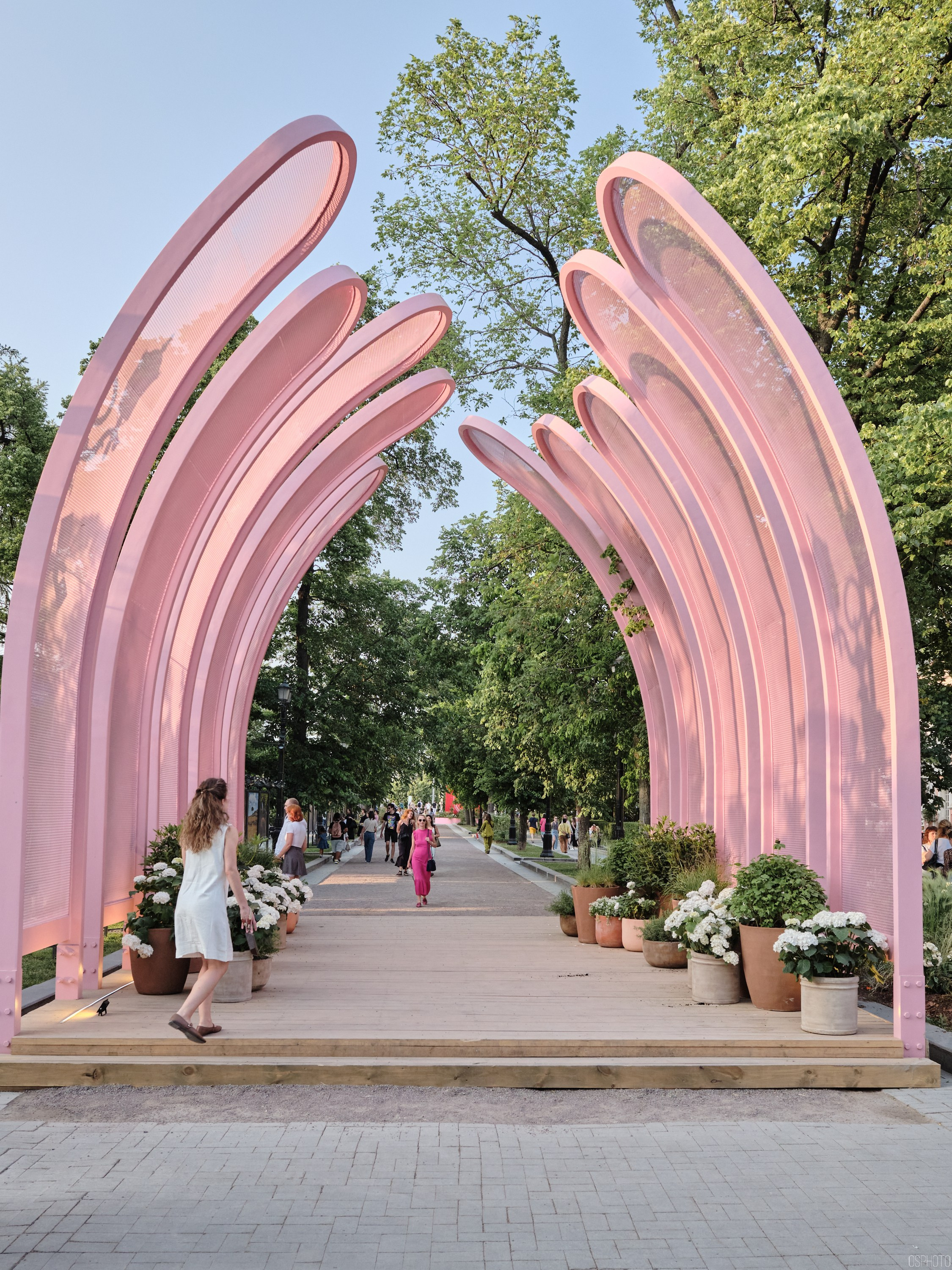 Бульвары для всех l Лето в Москве. Фотографъ Сергѣевъ. Поймать мгновеніе