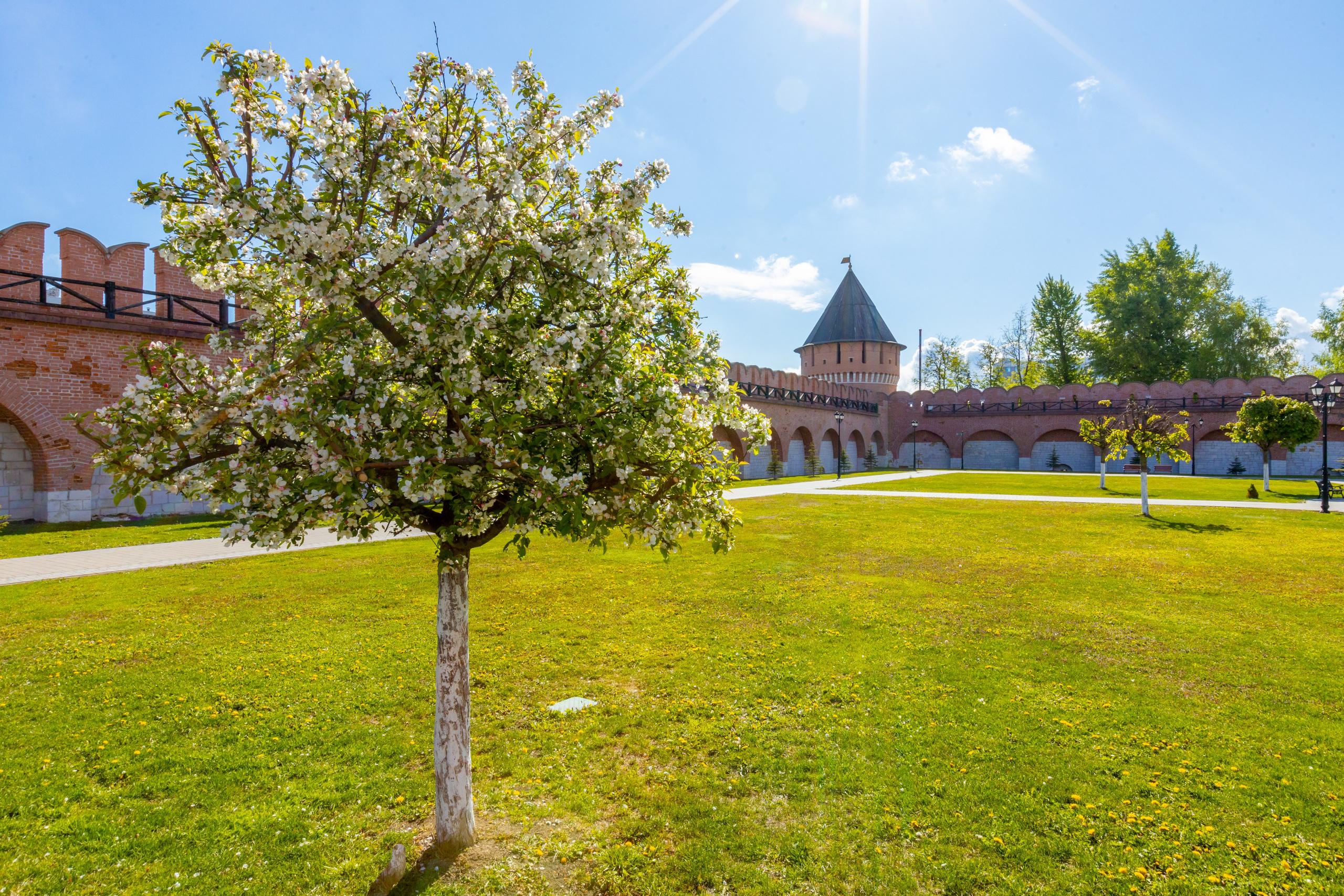 Весеннее цветение в Туле. Фотограф в Туле Крупский АнДРей. Фотостудия «КАДР71» в Туле