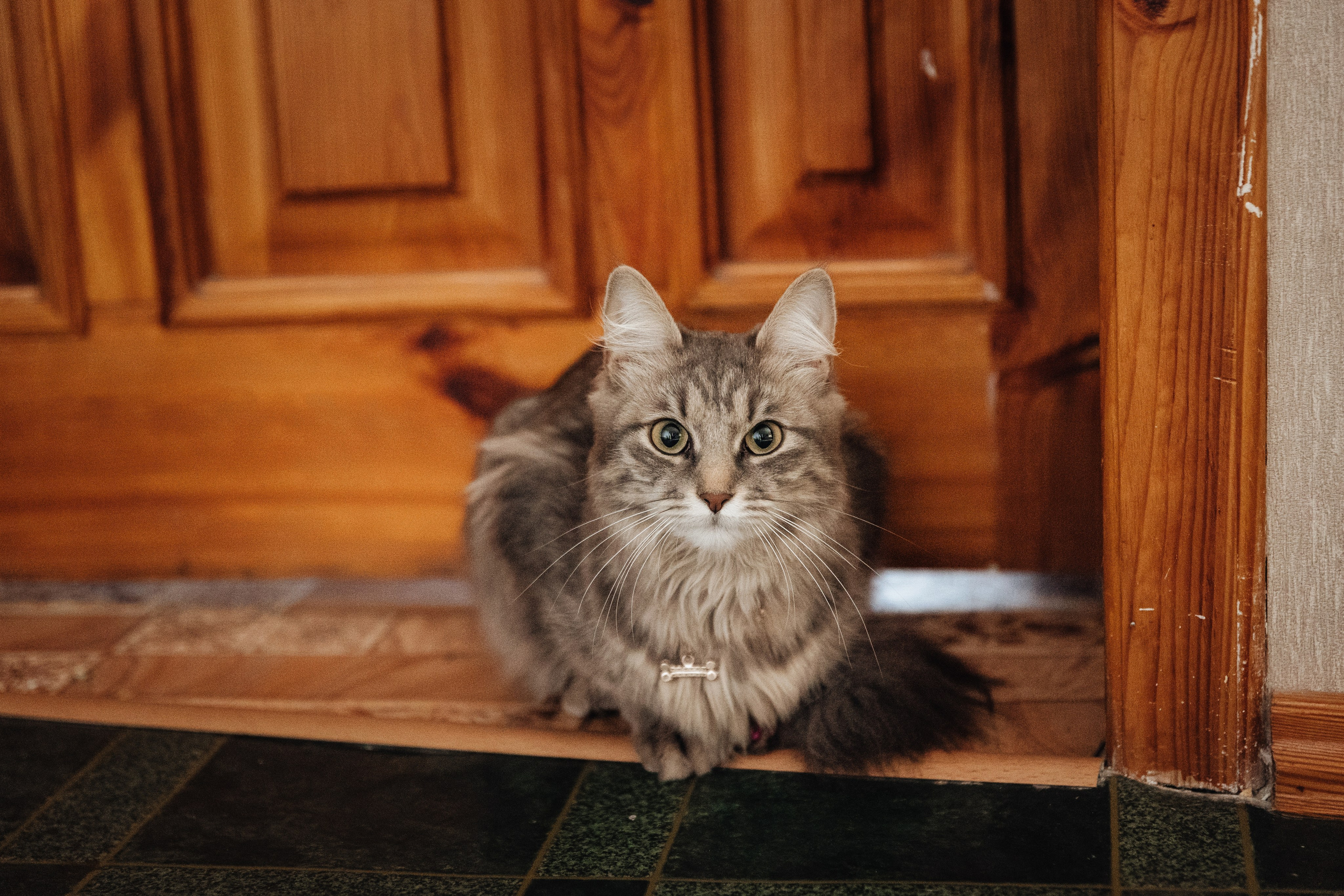 Ангелина и Дмитрий. Семейный и свадебный фотограф в Донецке Елена Гордеева
