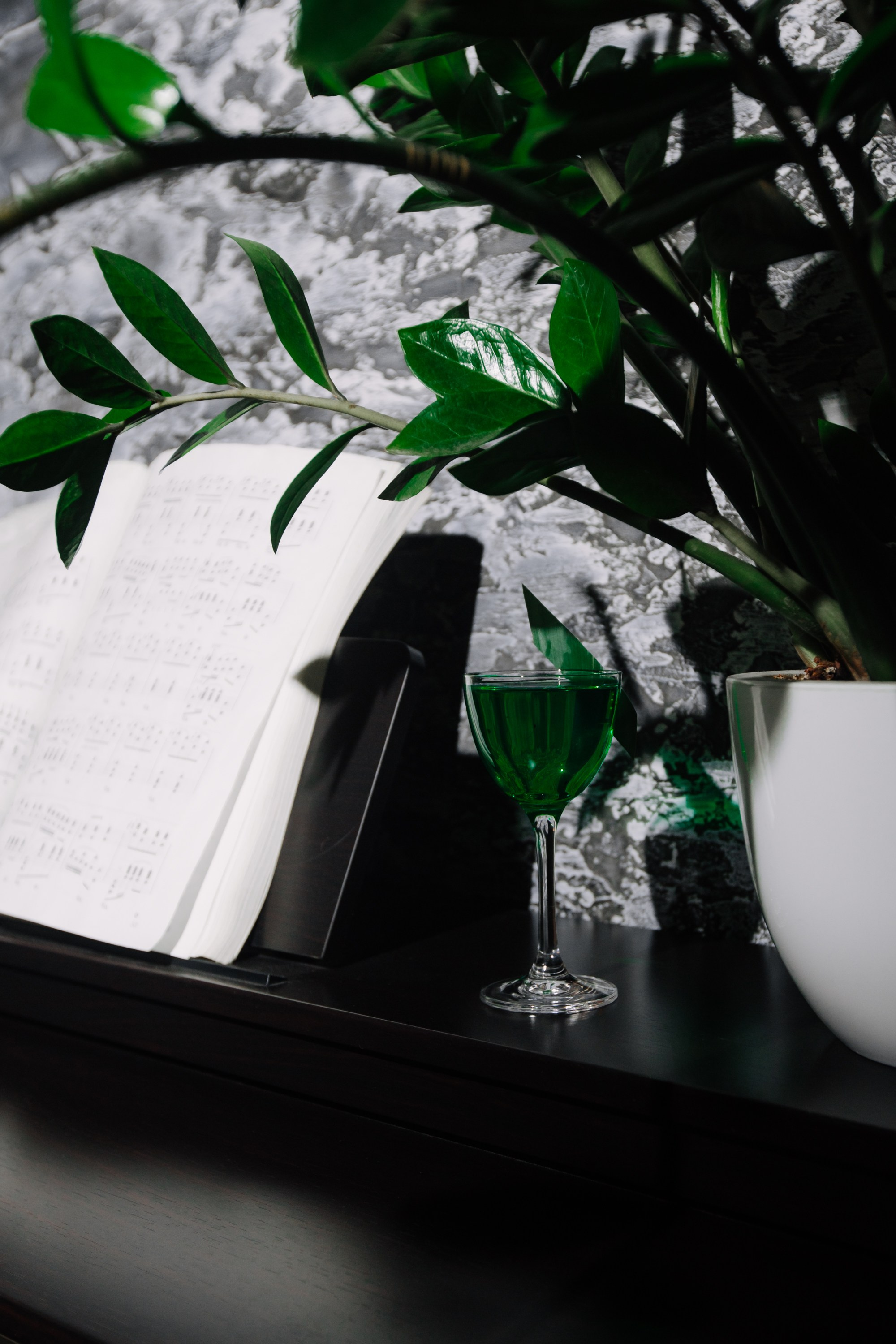 Garden Lounge / Cocktail. Home