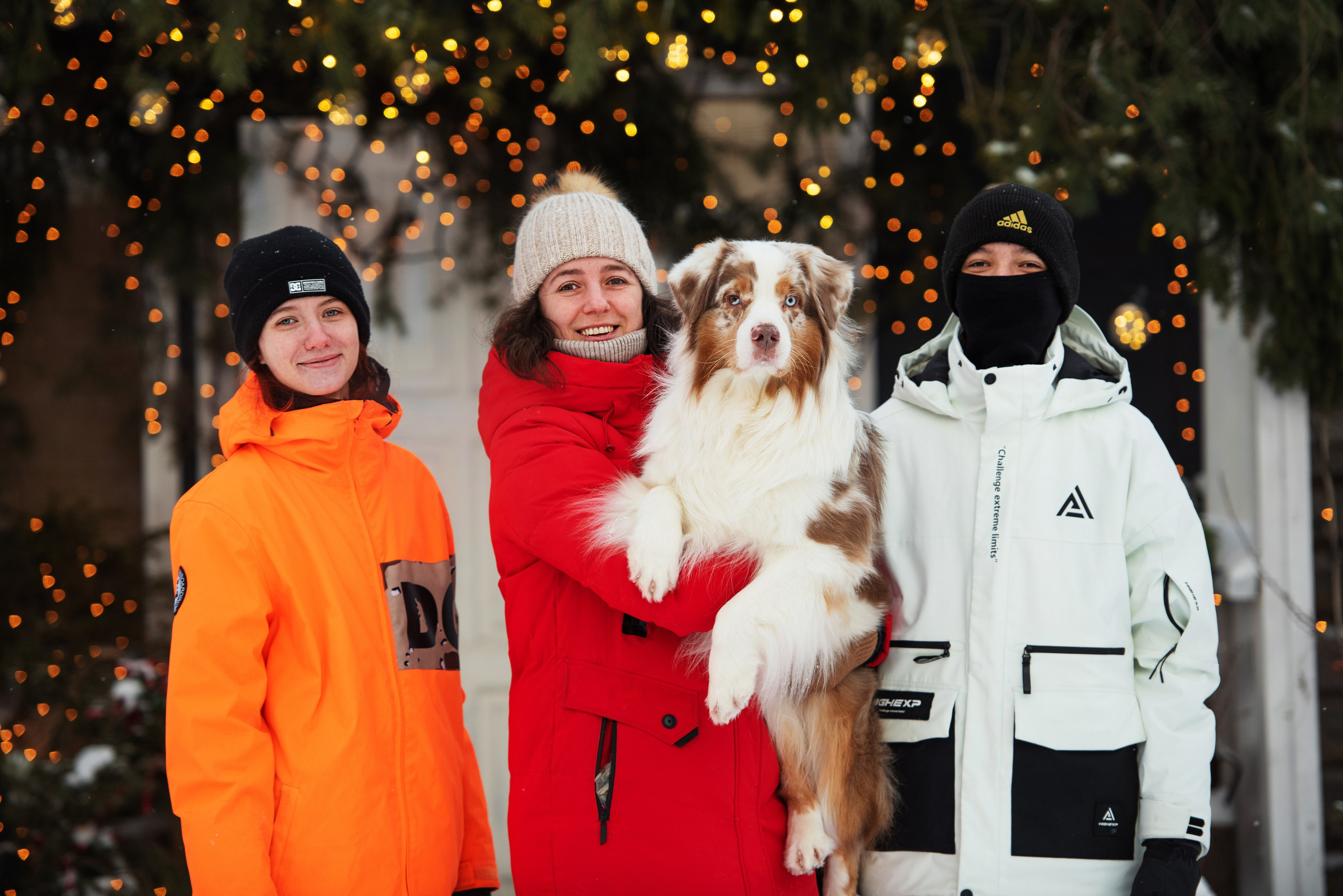 Аусси и его семья. Дог-фотограф в Тюмени Александра Королева