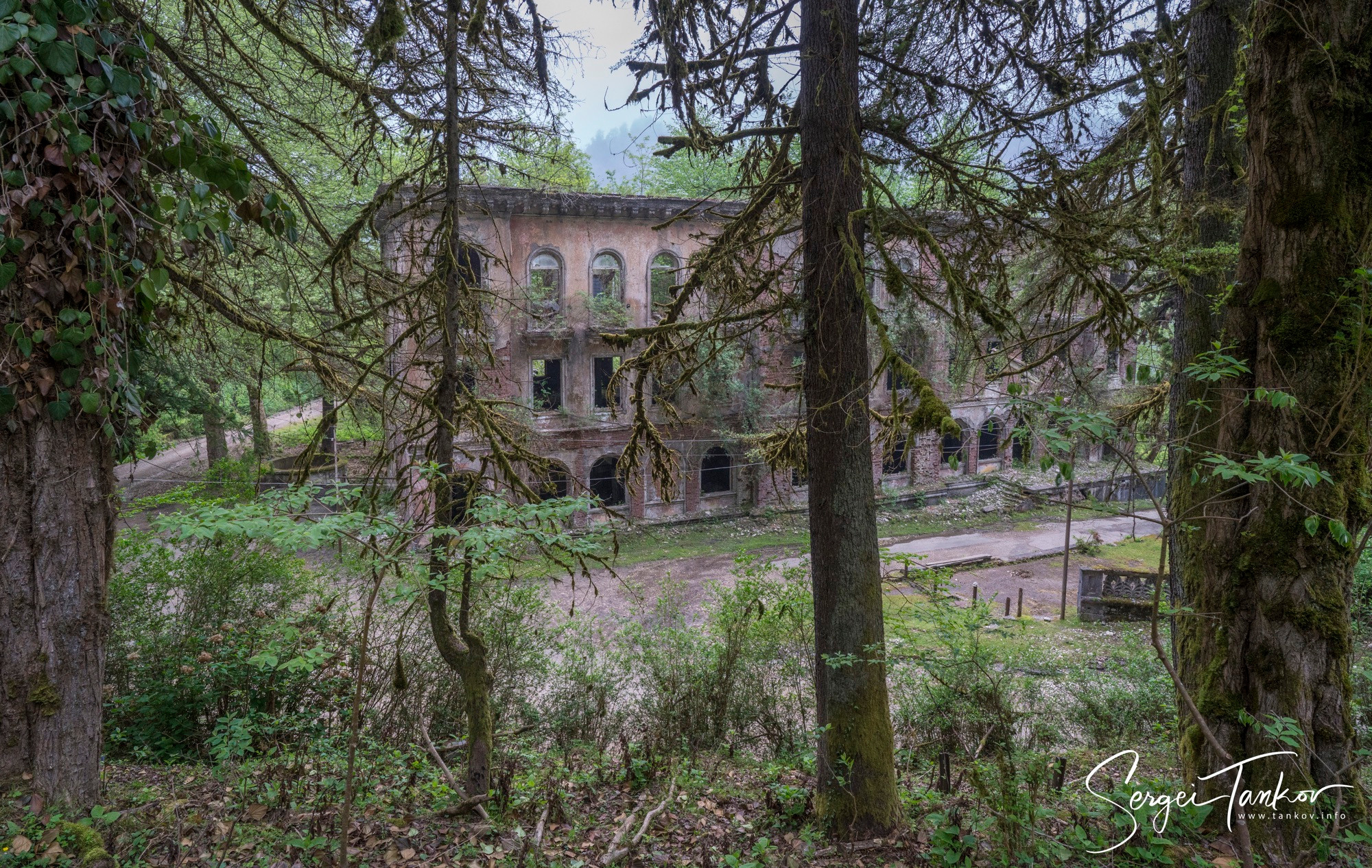 Абхазия (май 2019). Фотограф Сергей Танков