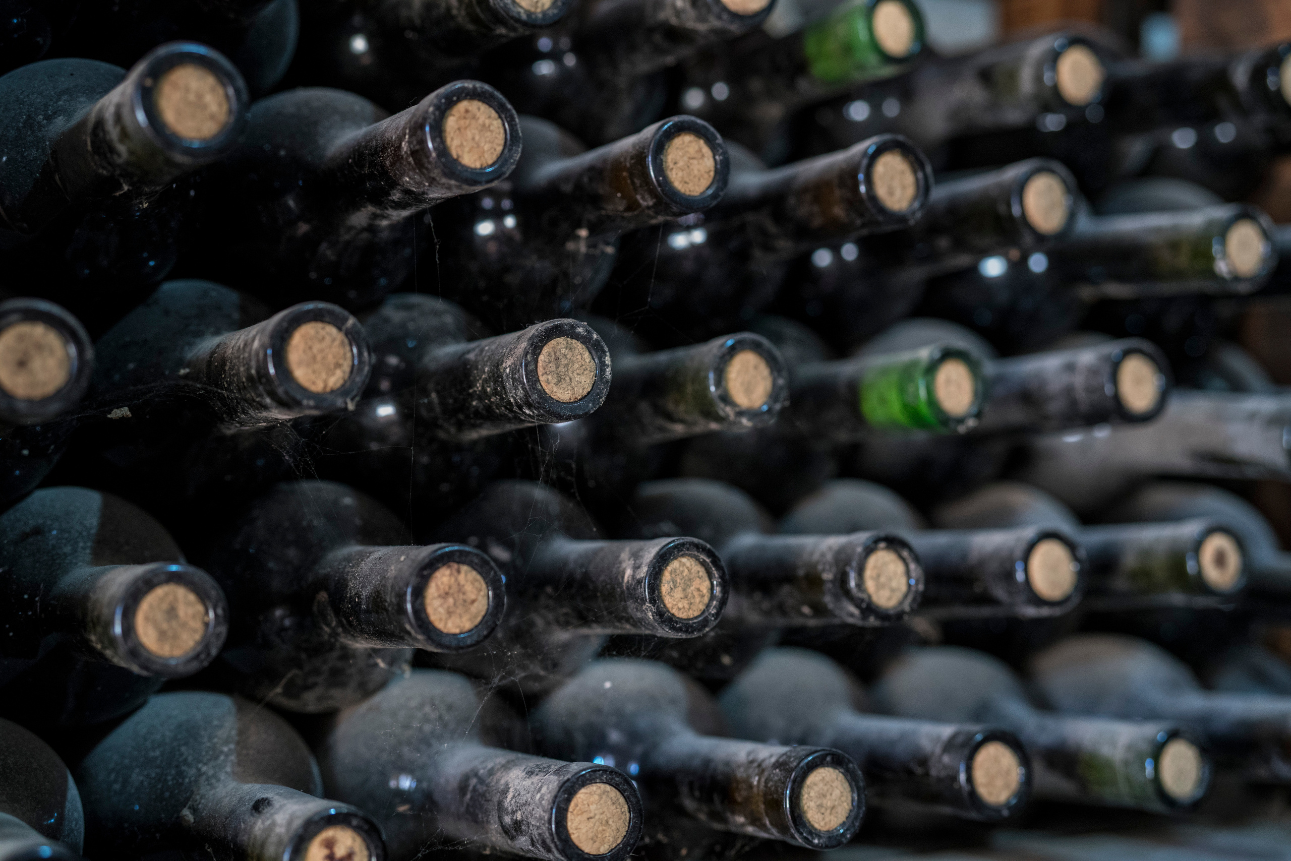 Армения (январь 2019). Фотограф Сергей Танков