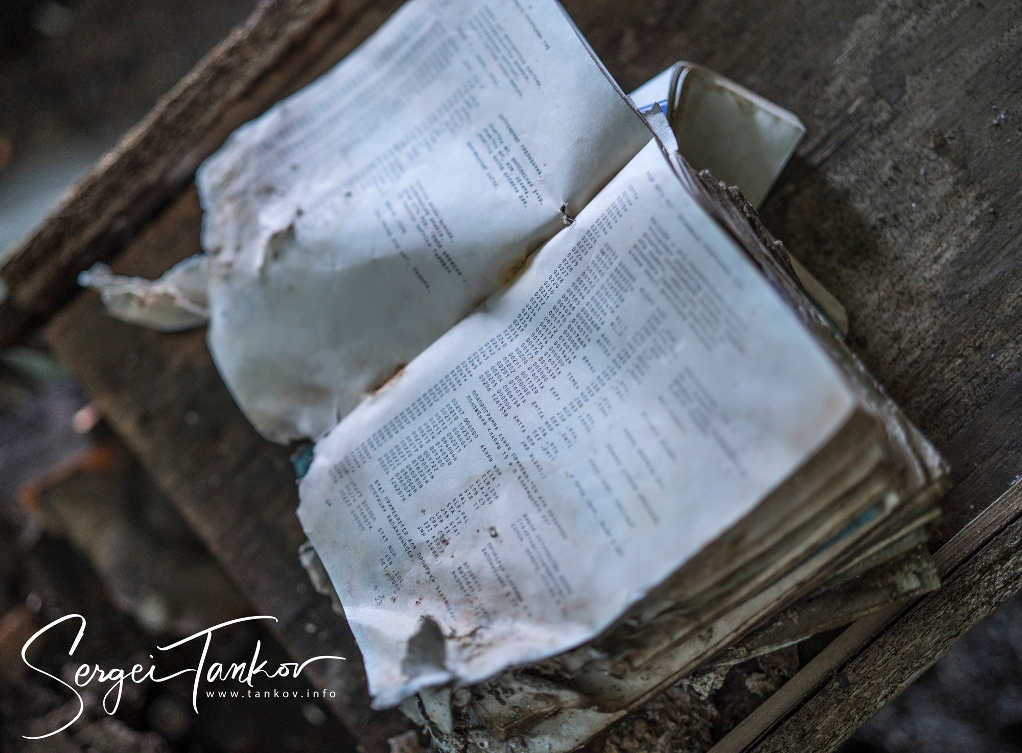 Абхазия (май 2019). Фотограф Сергей Танков