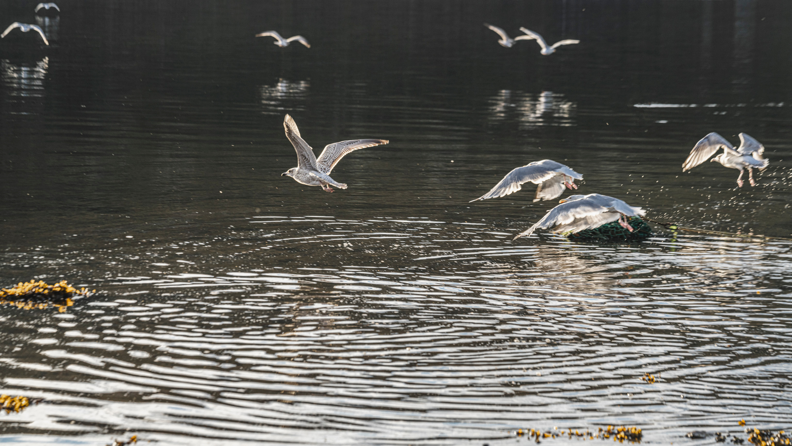 Териберка (октябрь 2020). Фотограф Сергей Танков