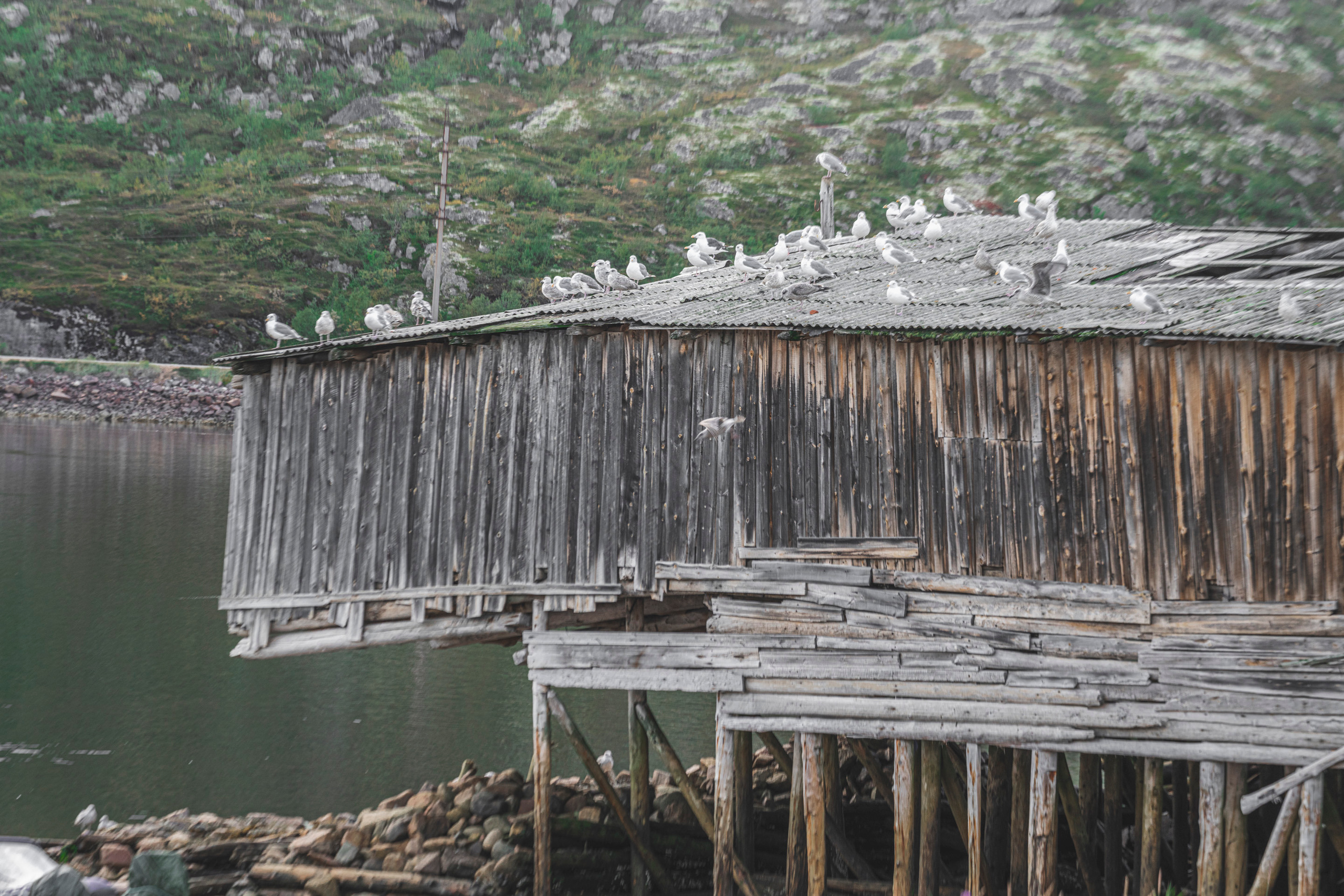 Териберка (октябрь 2020). Фотограф Сергей Танков