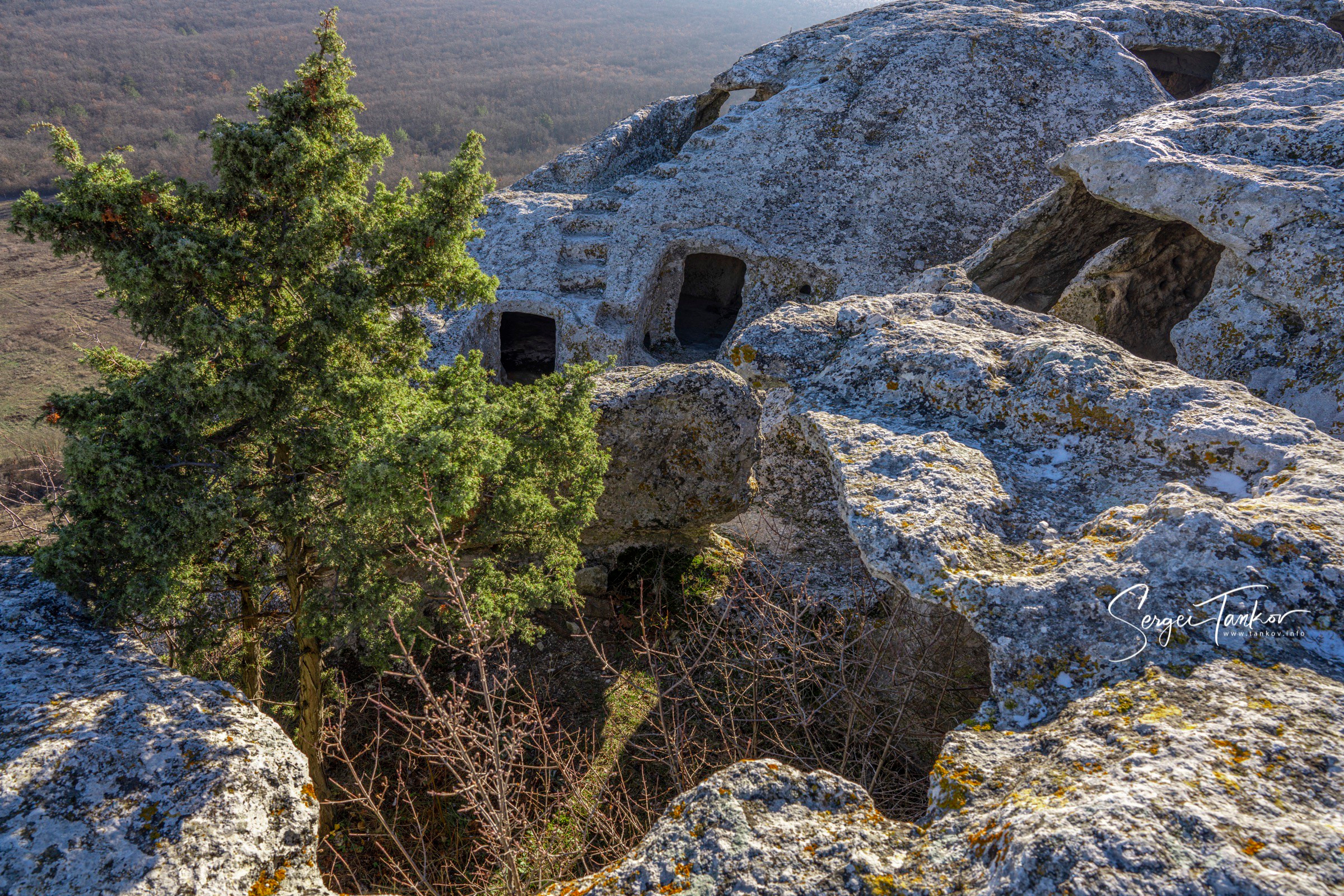 Крым (январь 2020). Фотограф Сергей Танков