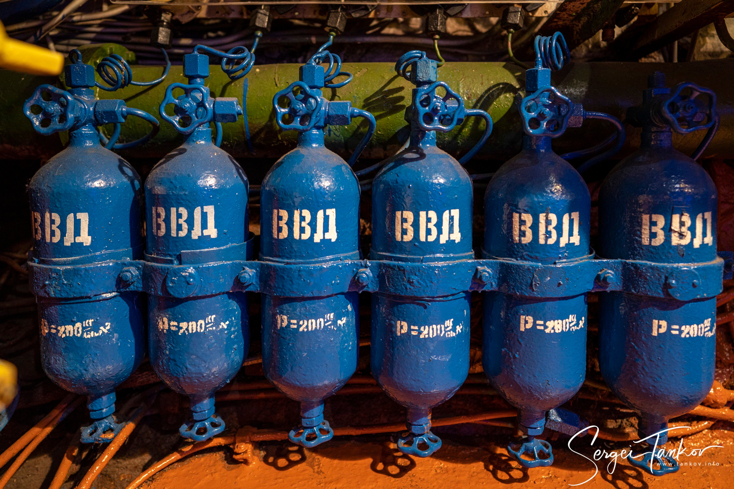 Калининград (июнь 2019). Фотограф Сергей Танков