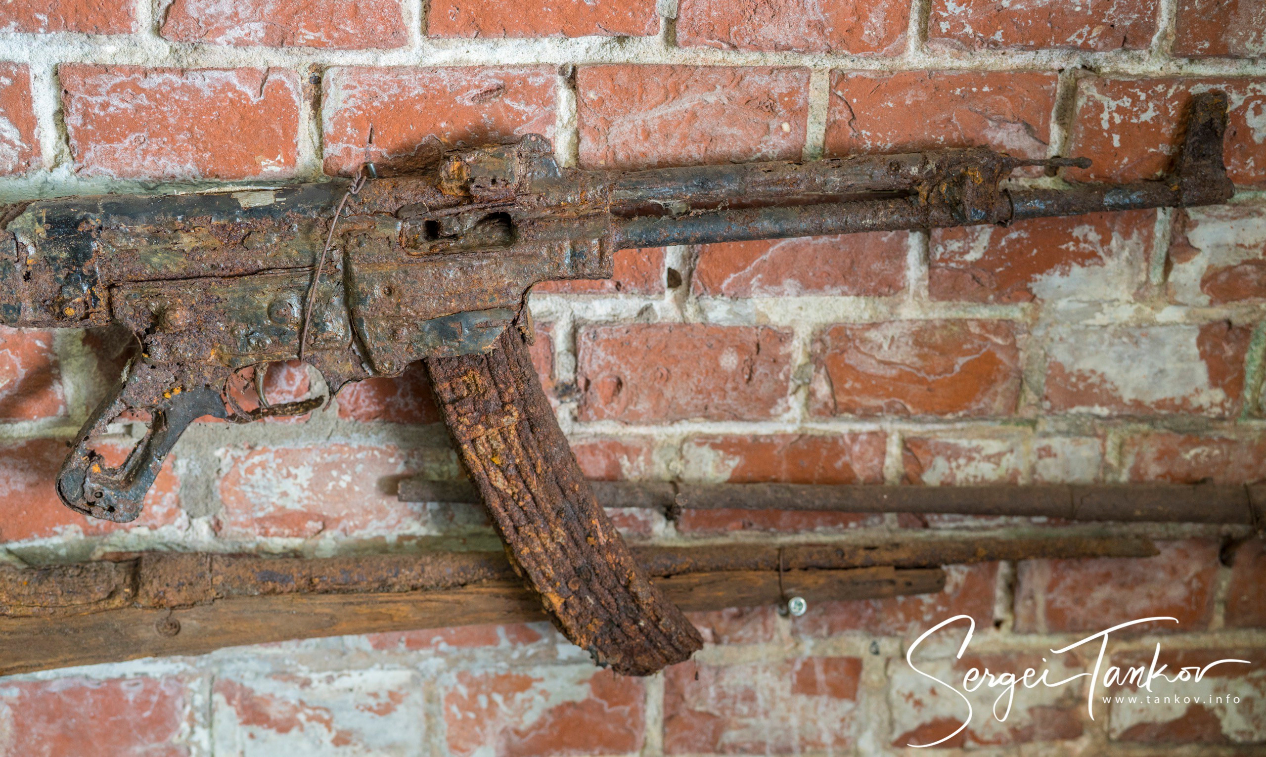 Калининград (июнь 2019). Фотограф Сергей Танков