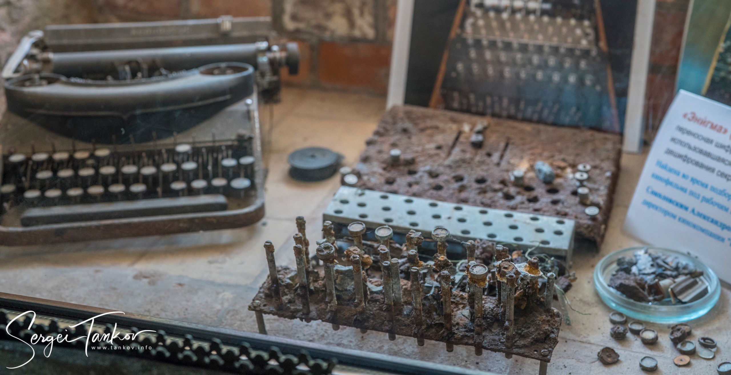 Калининград (июнь 2019). Фотограф Сергей Танков