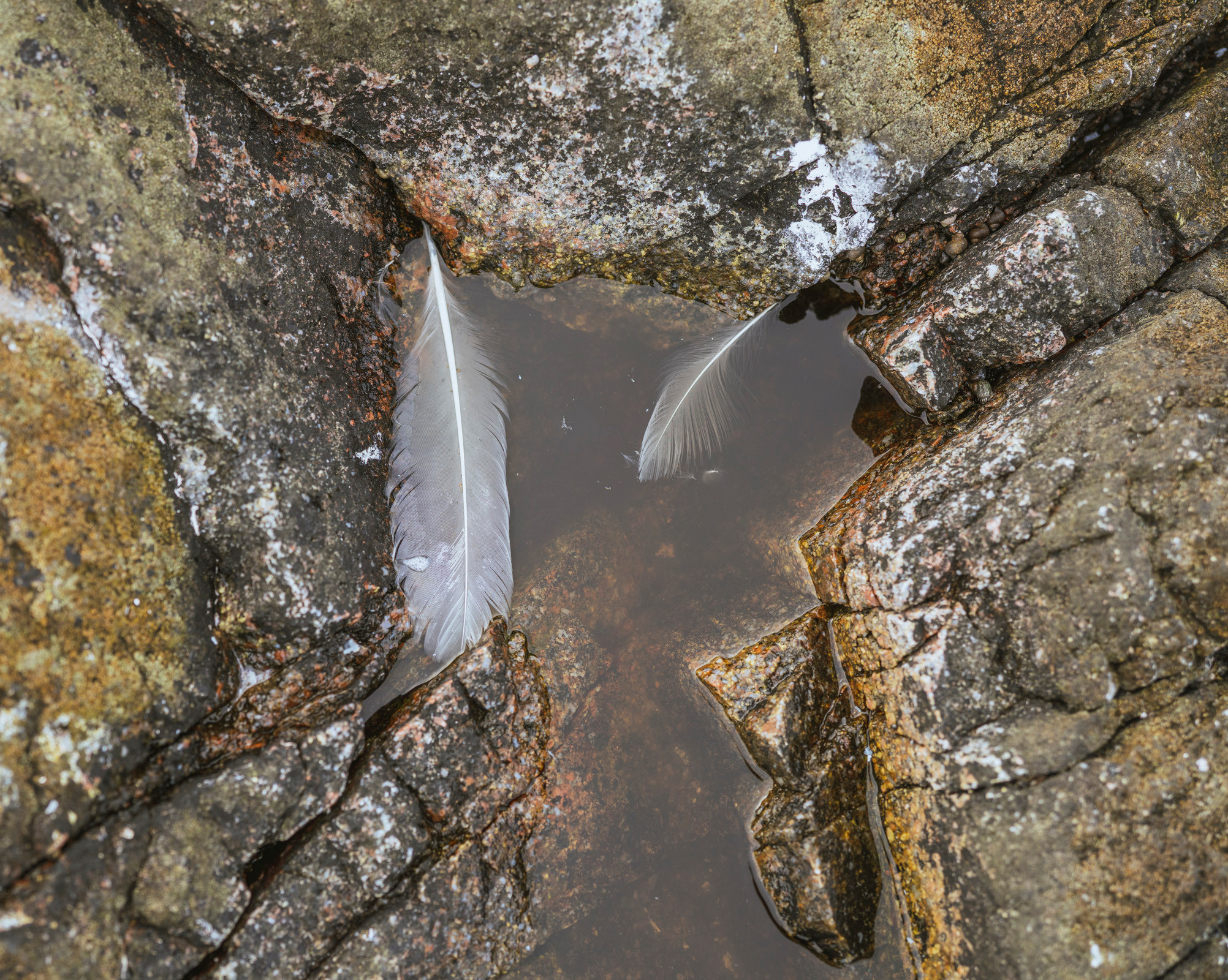 Териберка (октябрь 2020). Фотограф Сергей Танков