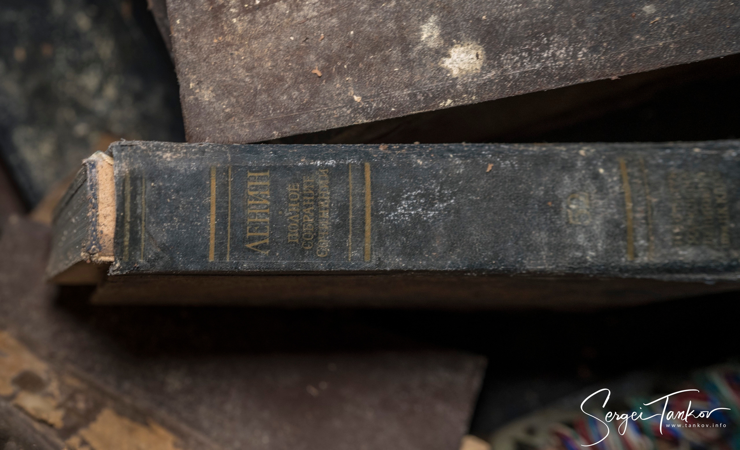 Владивосток (сентябрь 2019). Фотограф Сергей Танков