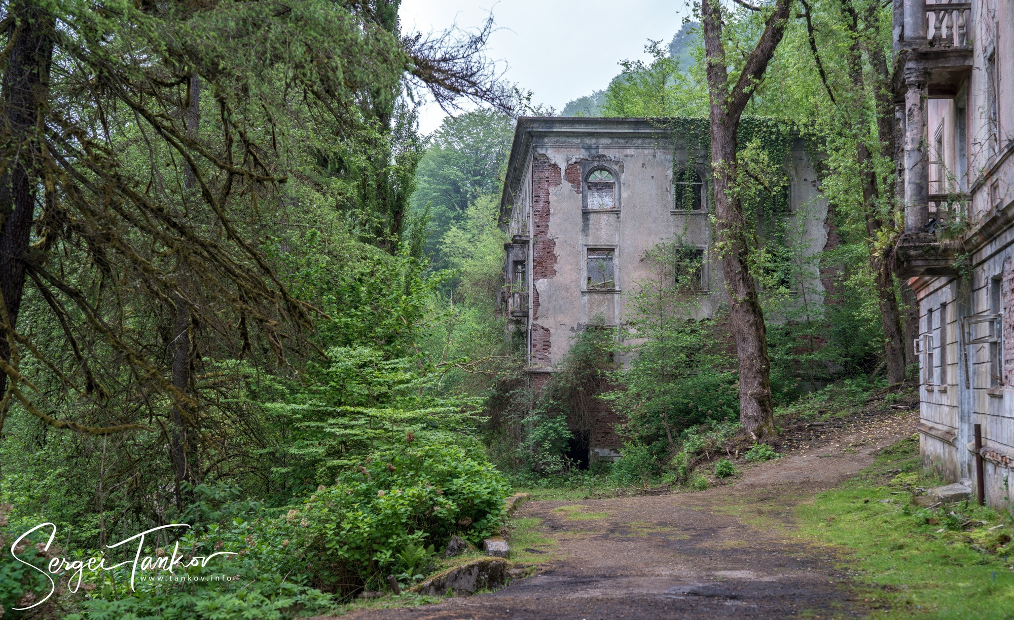 Абхазия (май 2019). Фотограф Сергей Танков