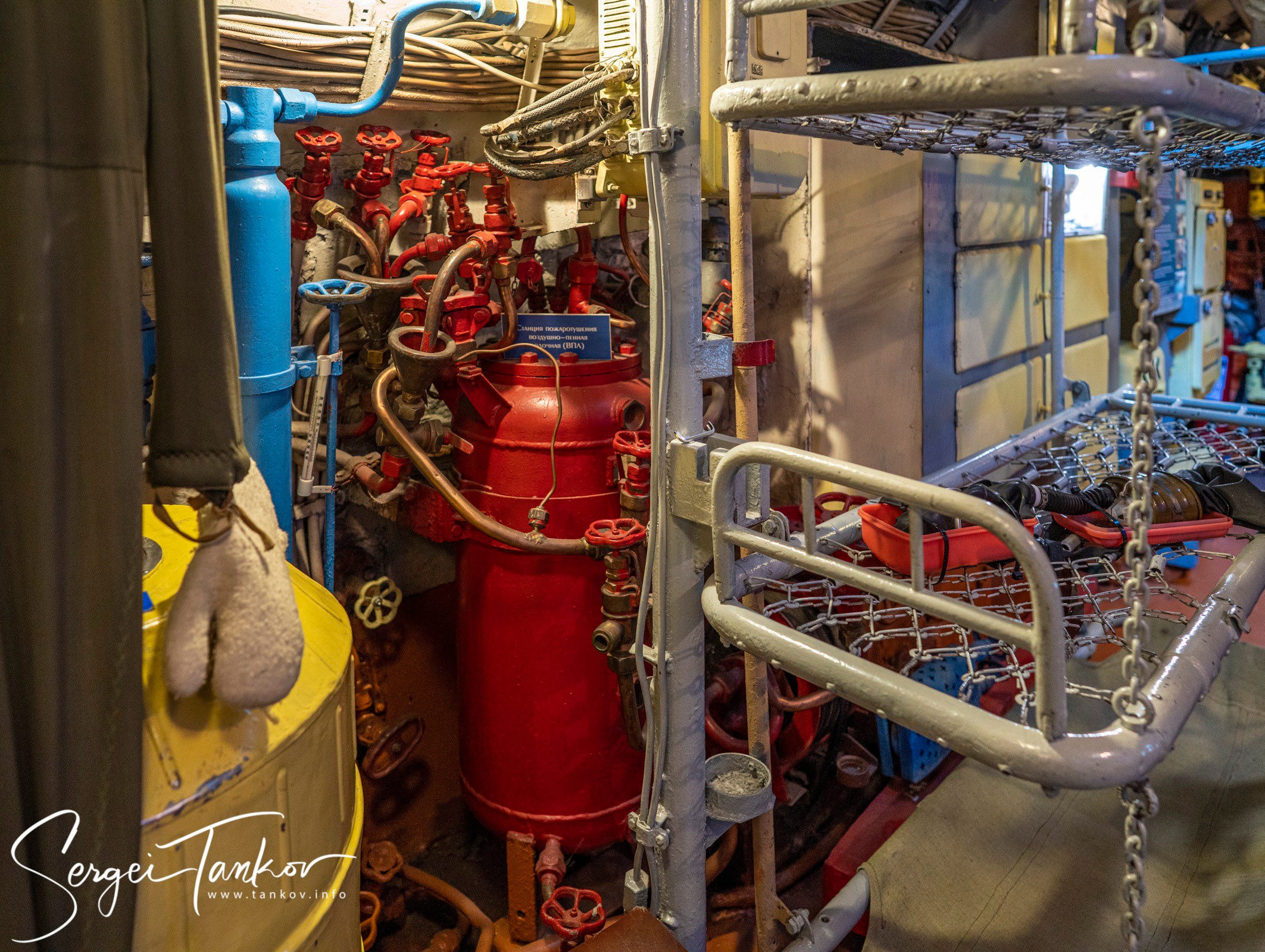 Калининград (июнь 2019). Фотограф Сергей Танков