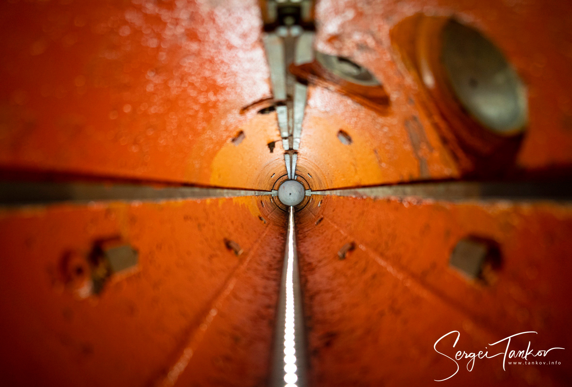 Калининград (июнь 2019). Фотограф Сергей Танков