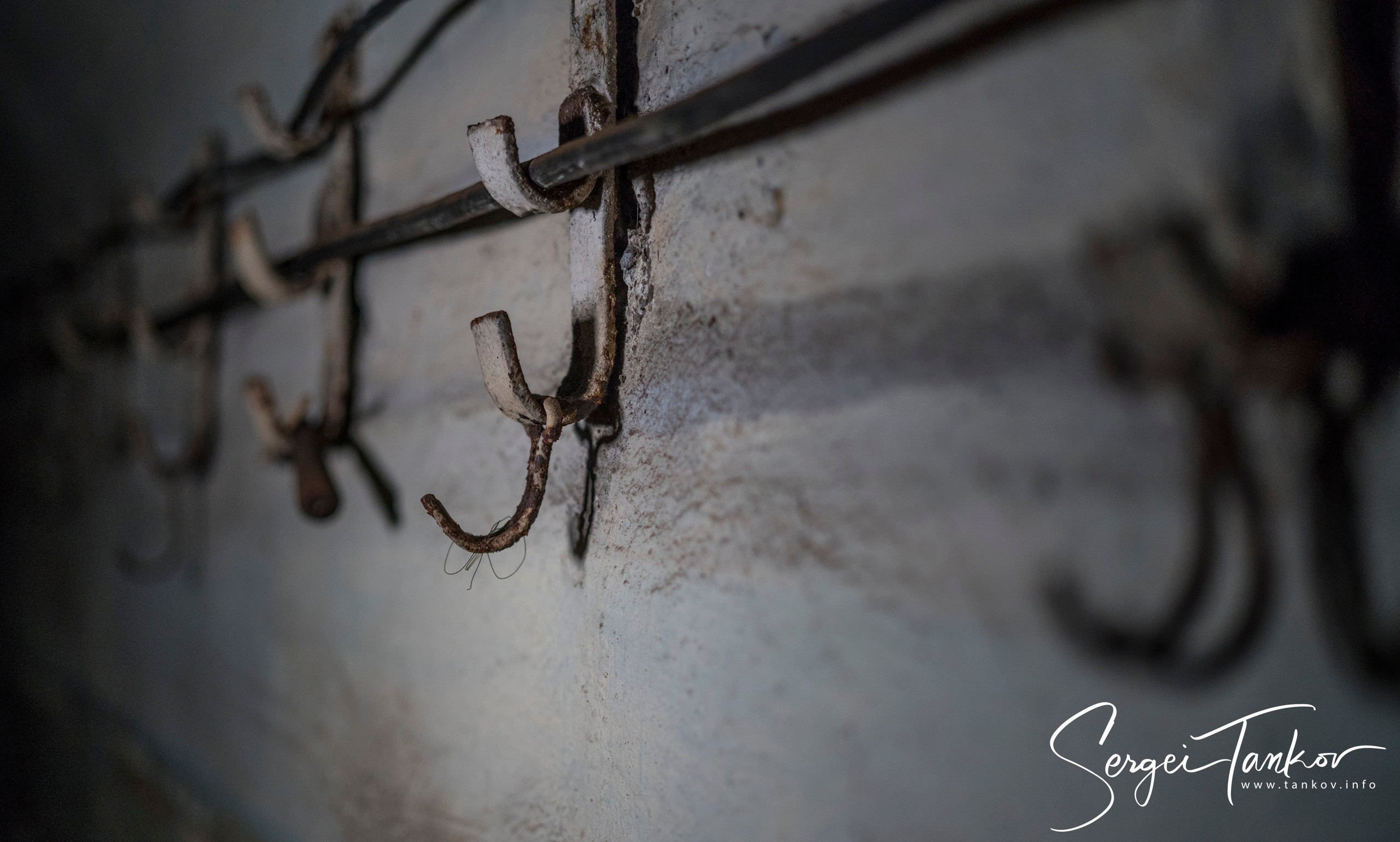 Владивосток (сентябрь 2019). Фотограф Сергей Танков