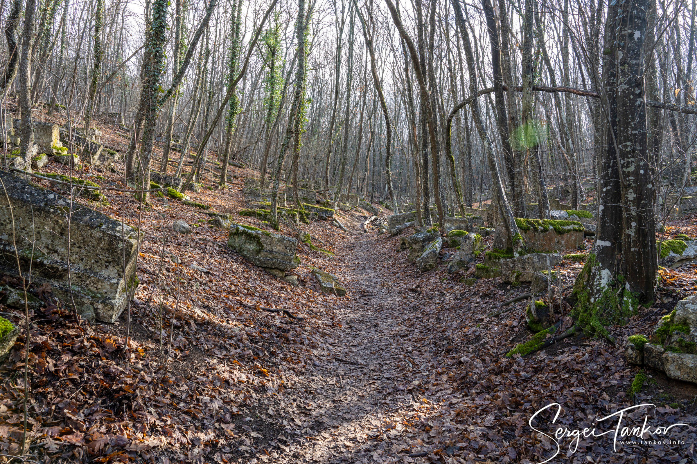 Крым (январь 2020). Фотограф Сергей Танков