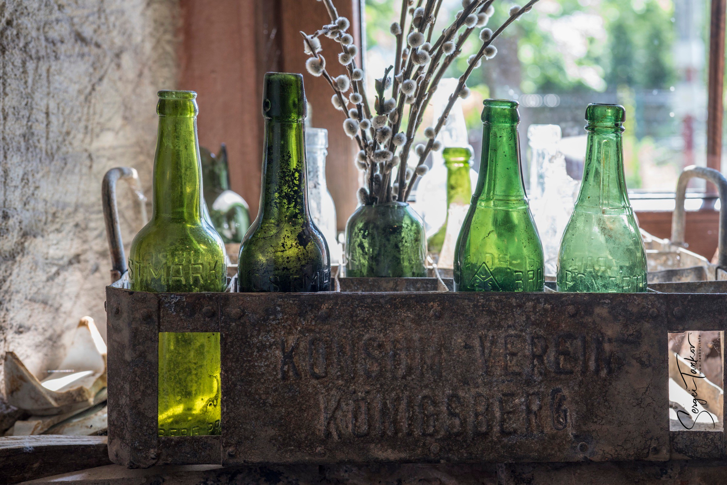 Калининград (июнь 2019). Фотограф Сергей Танков