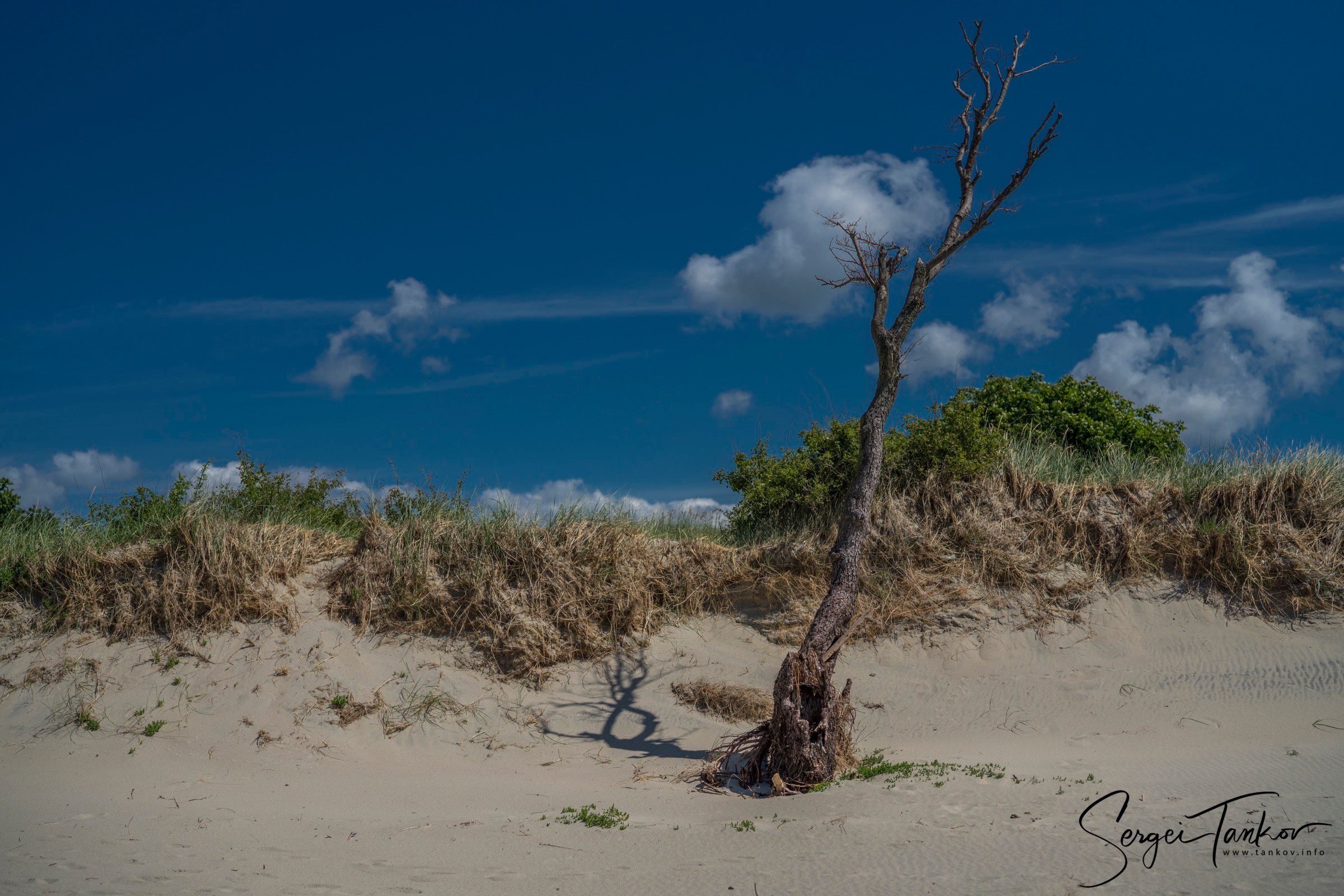 Калининград (июнь 2019). Фотограф Сергей Танков