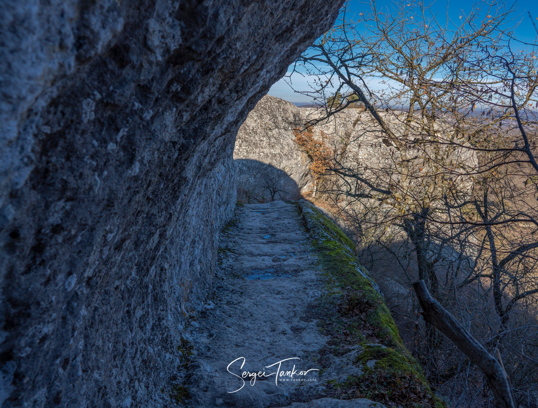Крым (январь 2020). Фотограф Сергей Танков