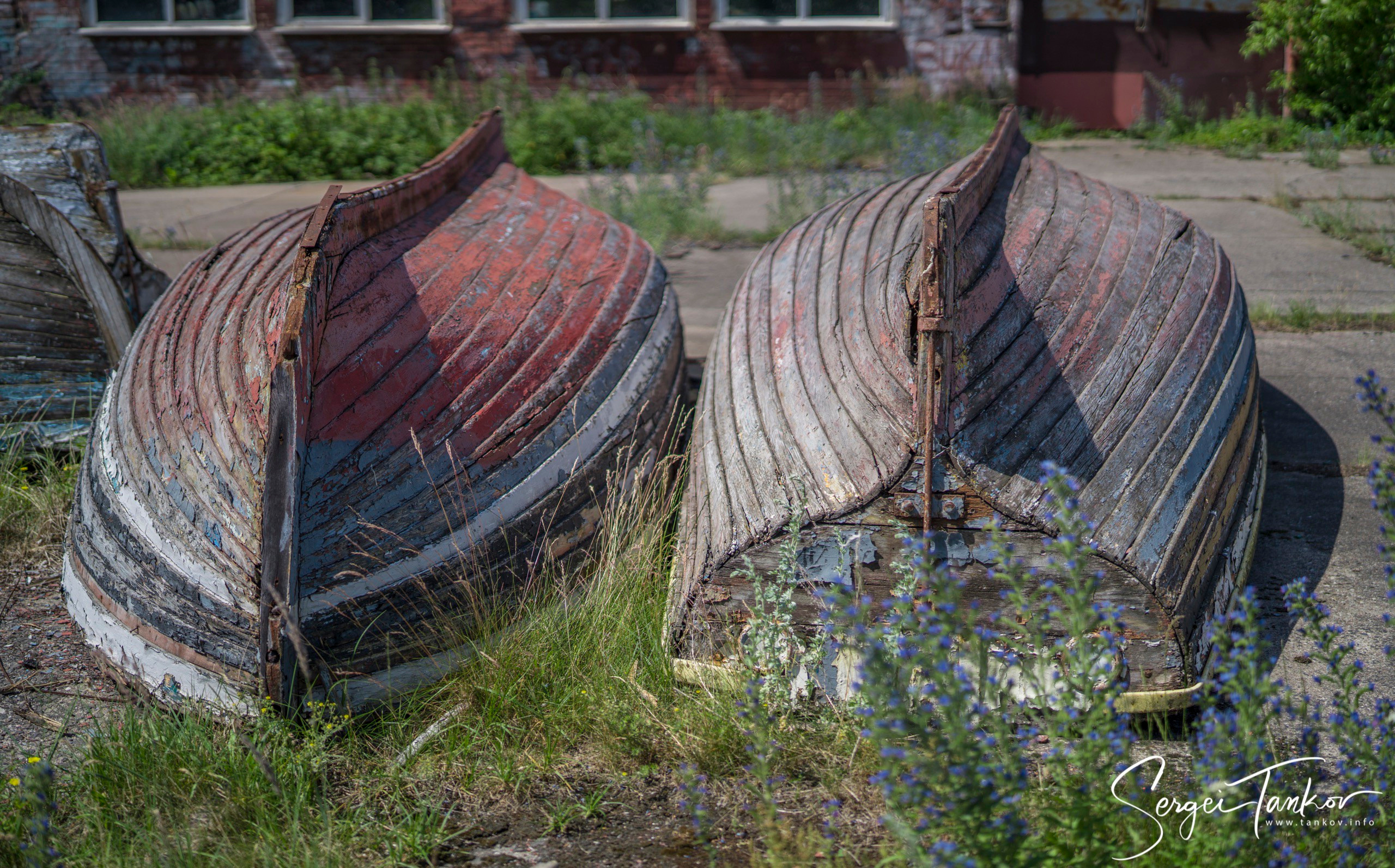 Калининград (июнь 2019). Фотограф Сергей Танков