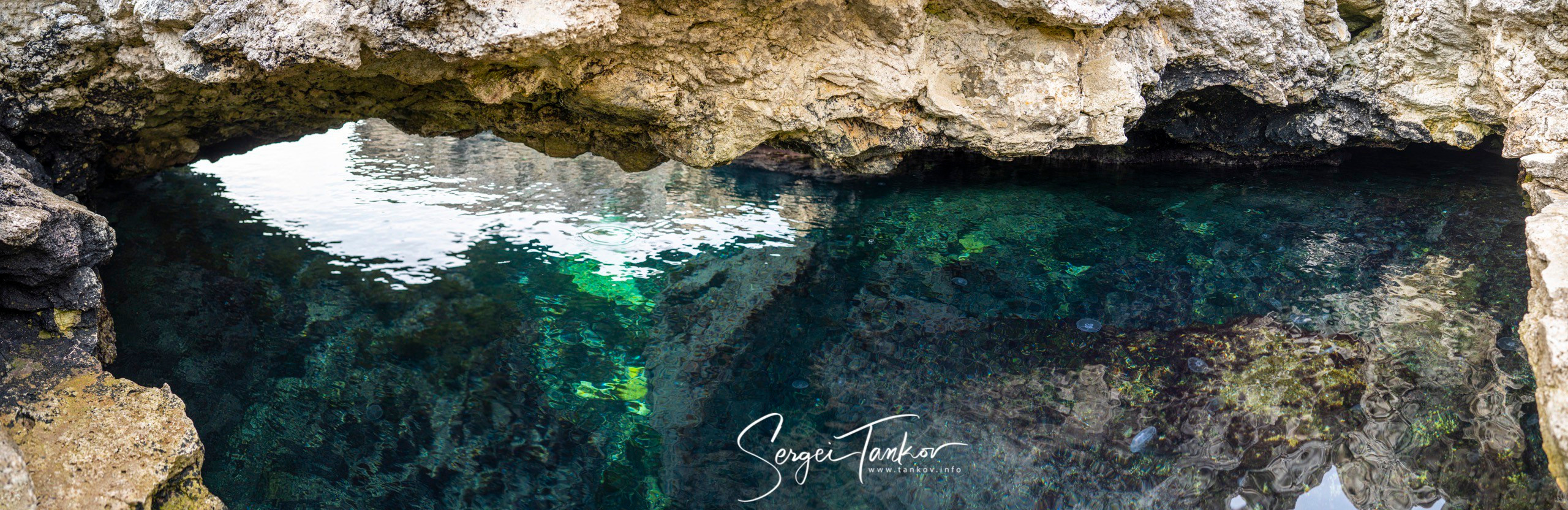 Крым (январь 2020). Фотограф Сергей Танков