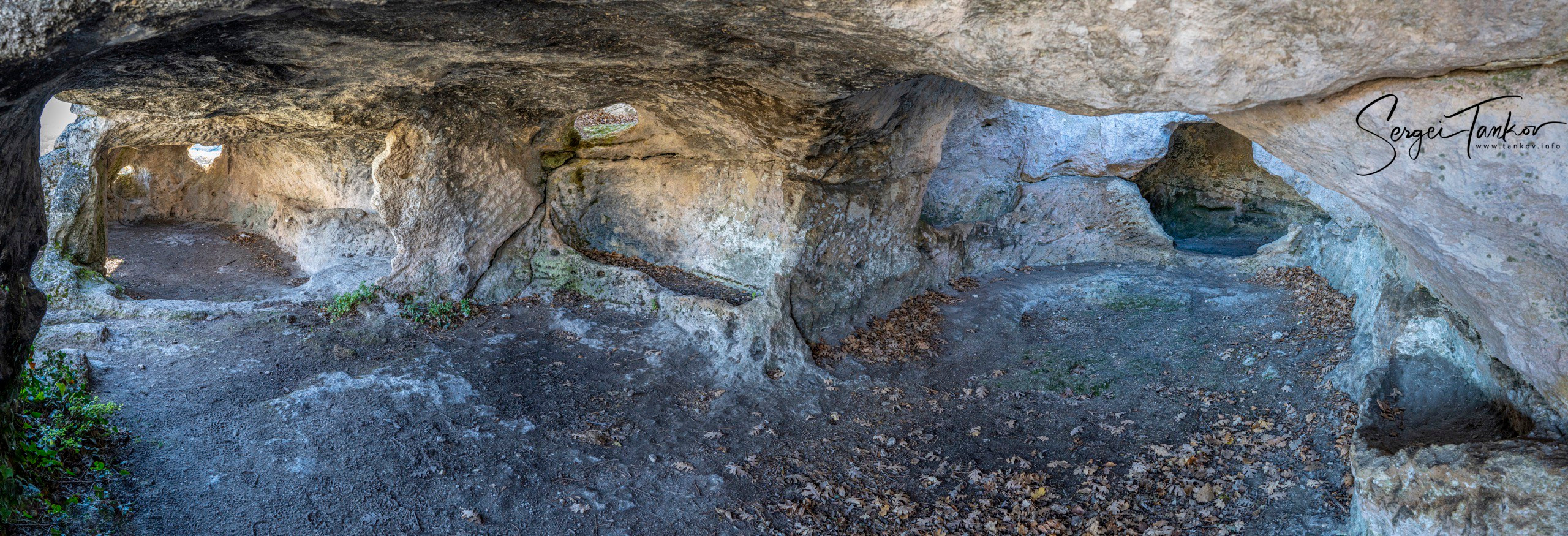 Крым (январь 2020). Фотограф Сергей Танков