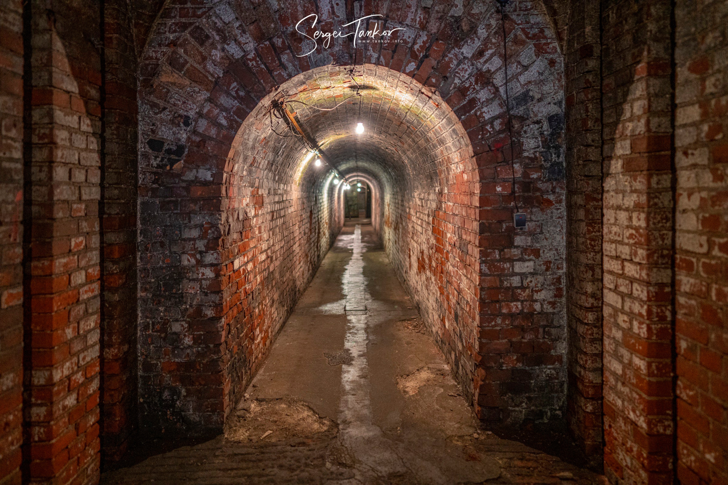 Калининград (июнь 2019). Фотограф Сергей Танков