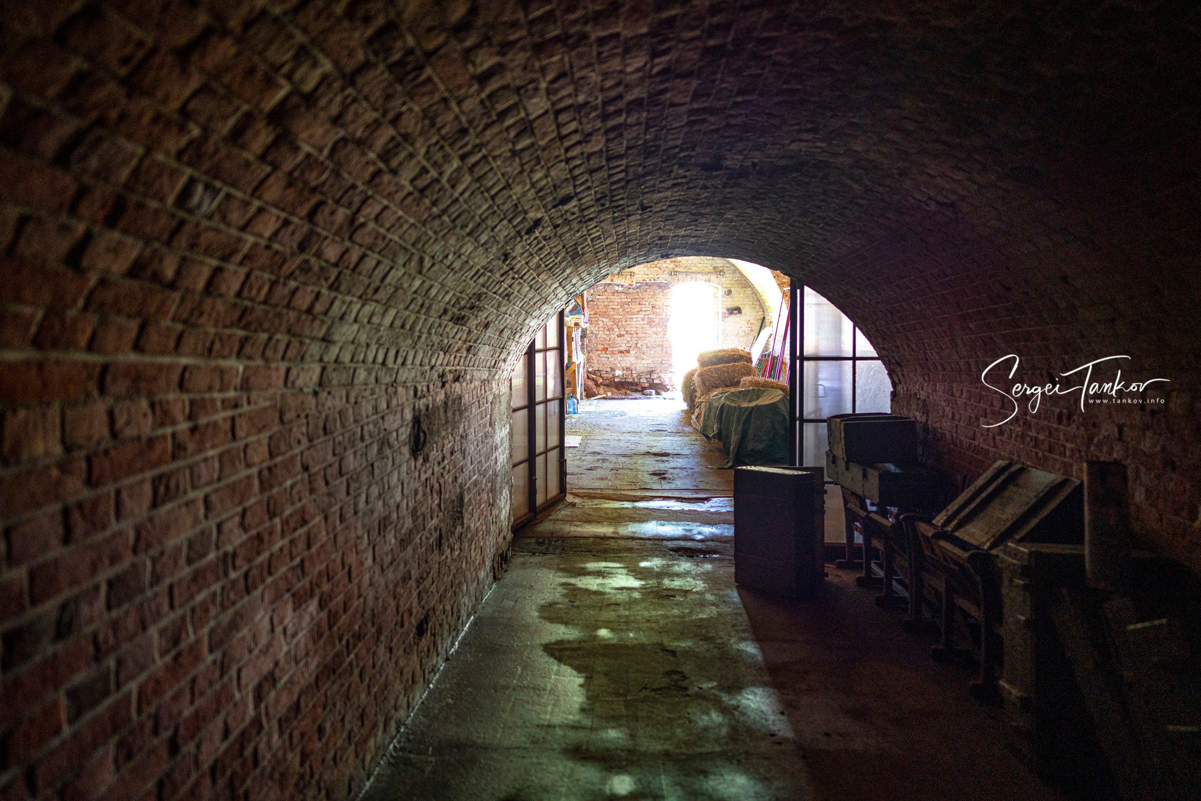 Калининград (июнь 2019). Фотограф Сергей Танков