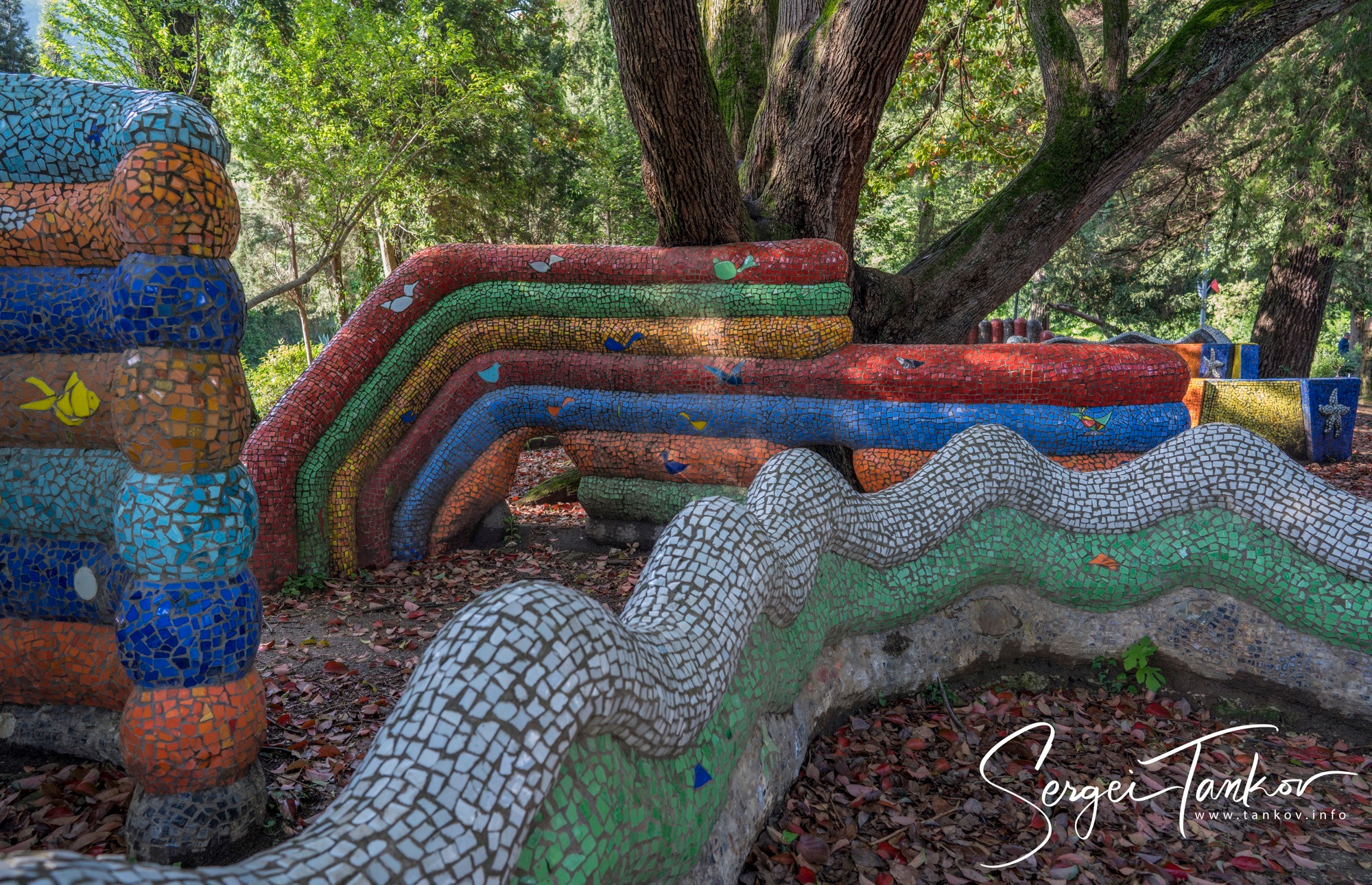 Абхазия (май 2019). Фотограф Сергей Танков