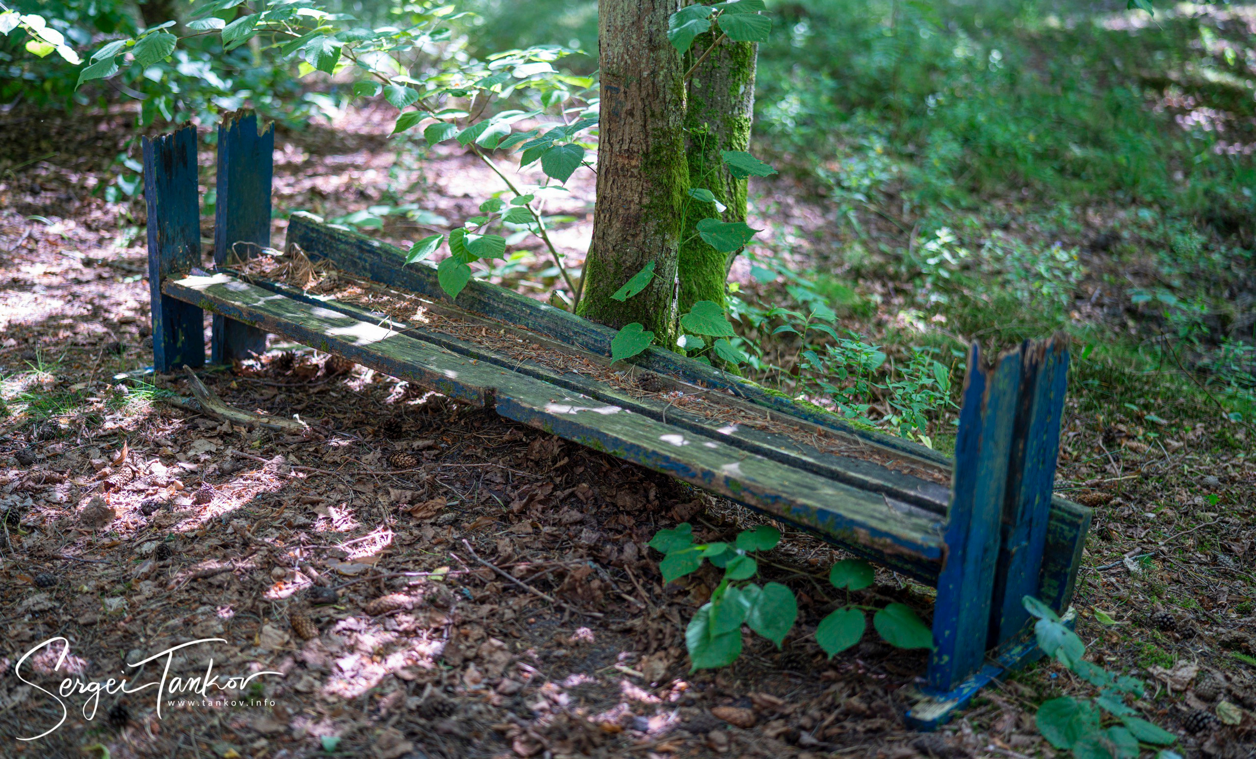 Калининград (июнь 2019). Фотограф Сергей Танков