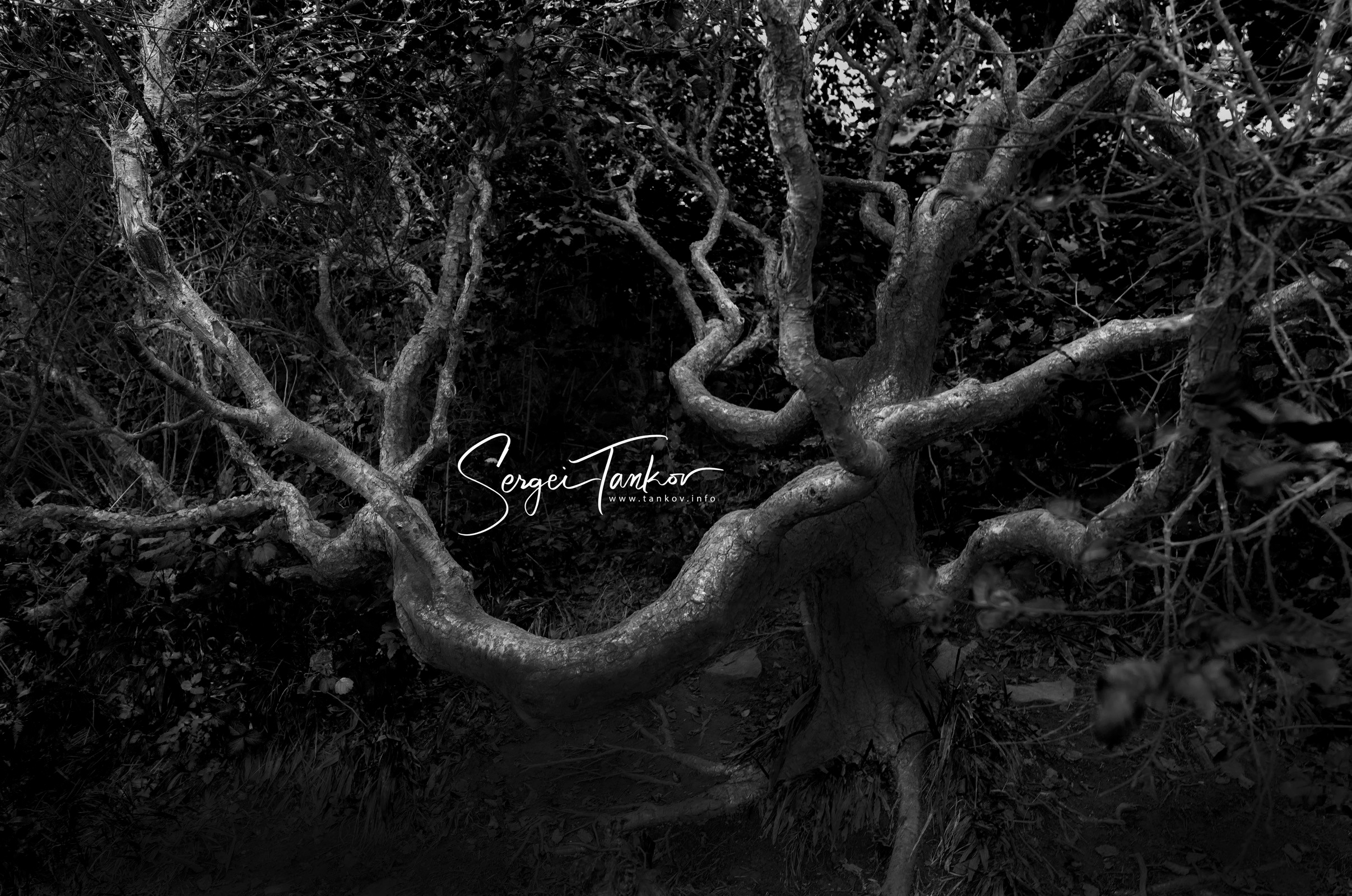 Владивосток (сентябрь 2019). Фотограф Сергей Танков