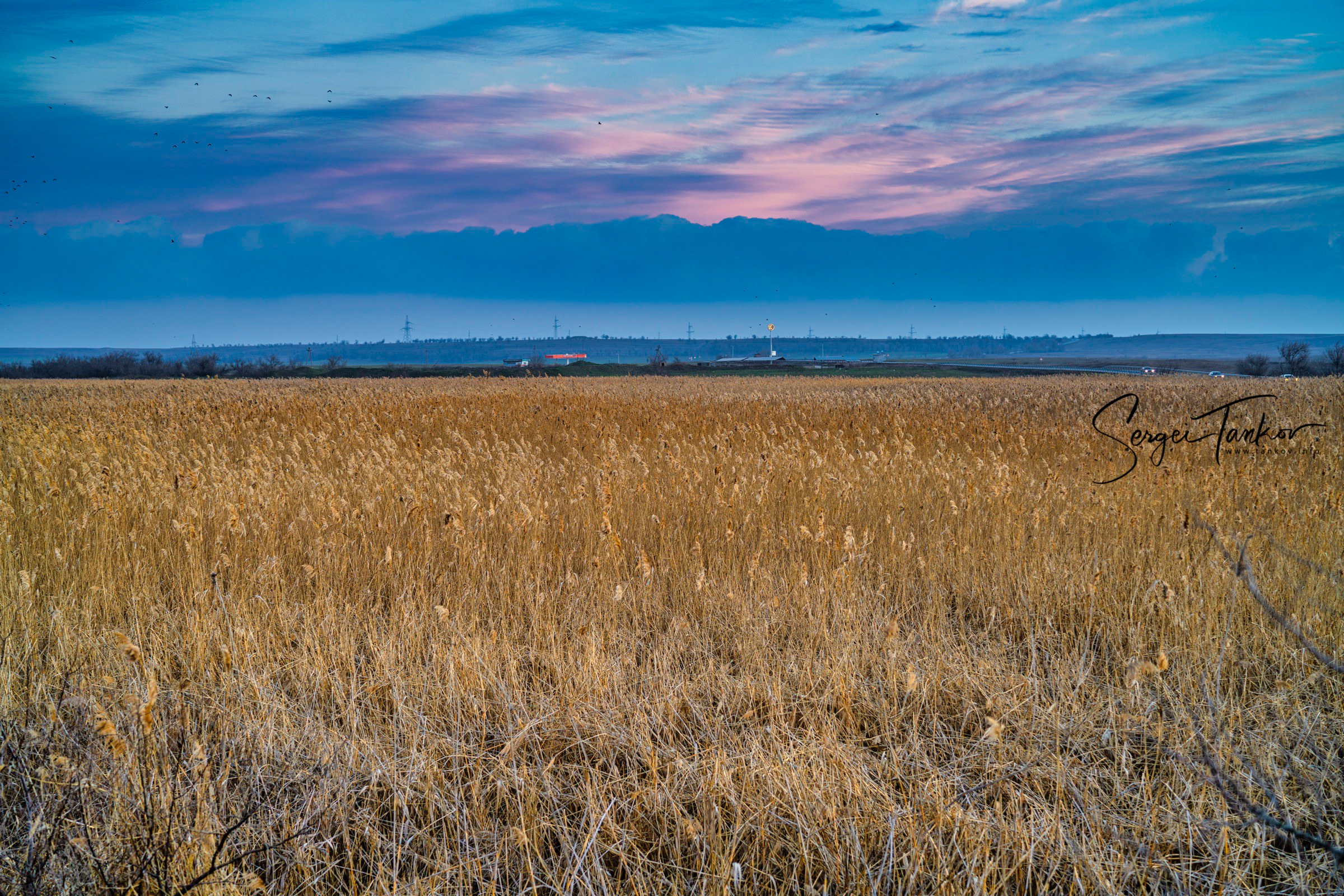 Крым (январь 2020). Фотограф Сергей Танков