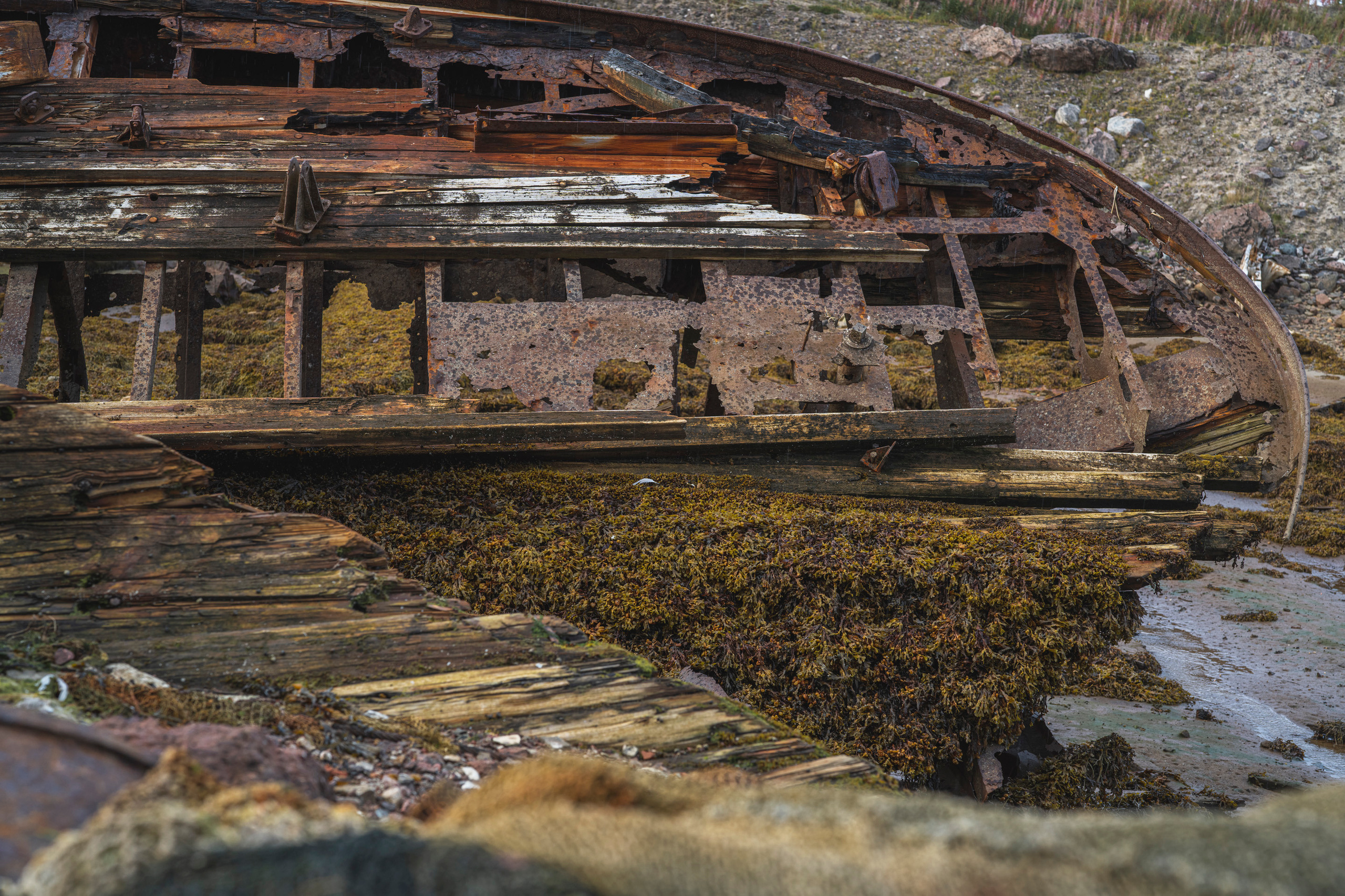 Териберка (октябрь 2020). Фотограф Сергей Танков