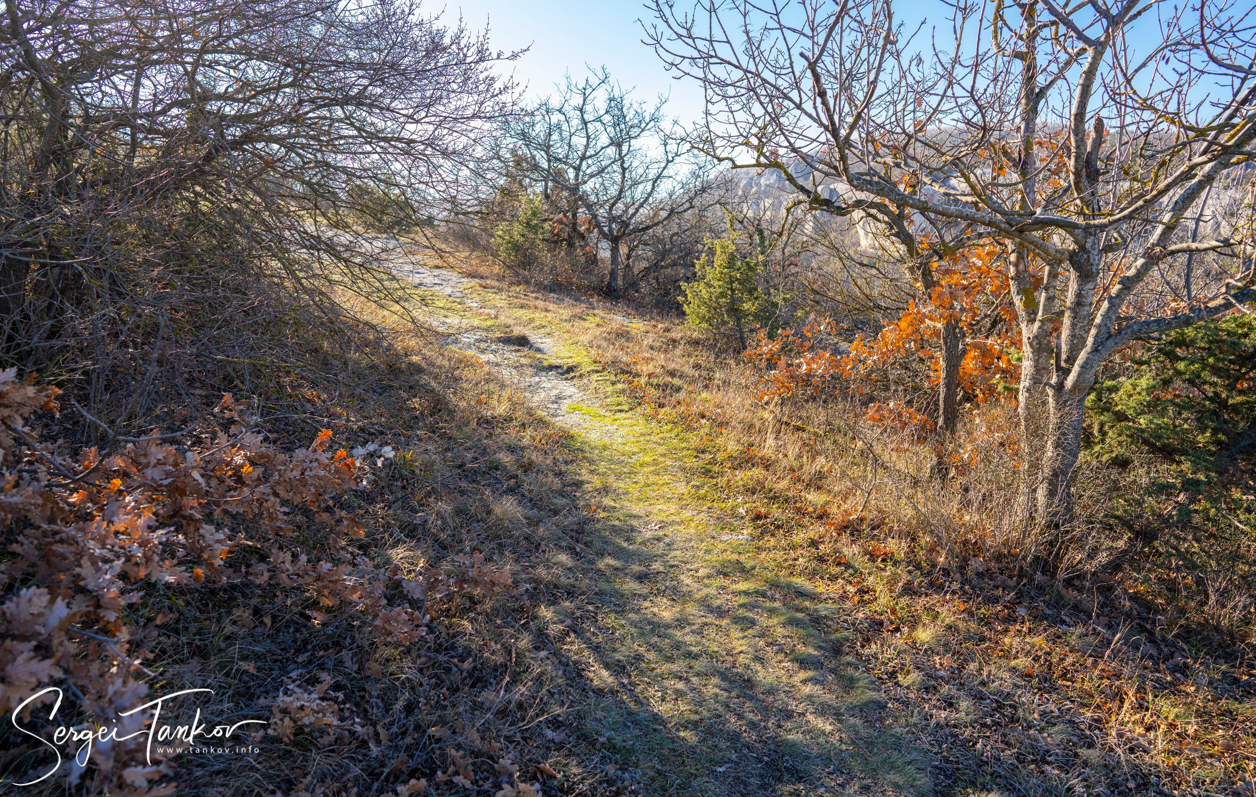 Крым (январь 2020). Фотограф Сергей Танков