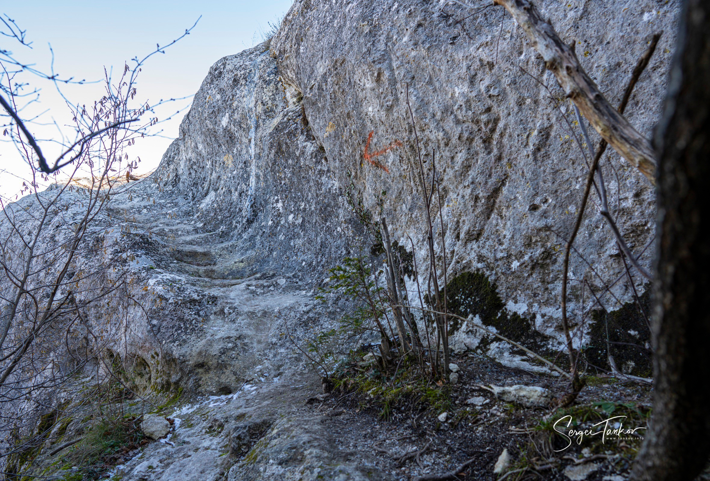 Крым (январь 2020). Фотограф Сергей Танков