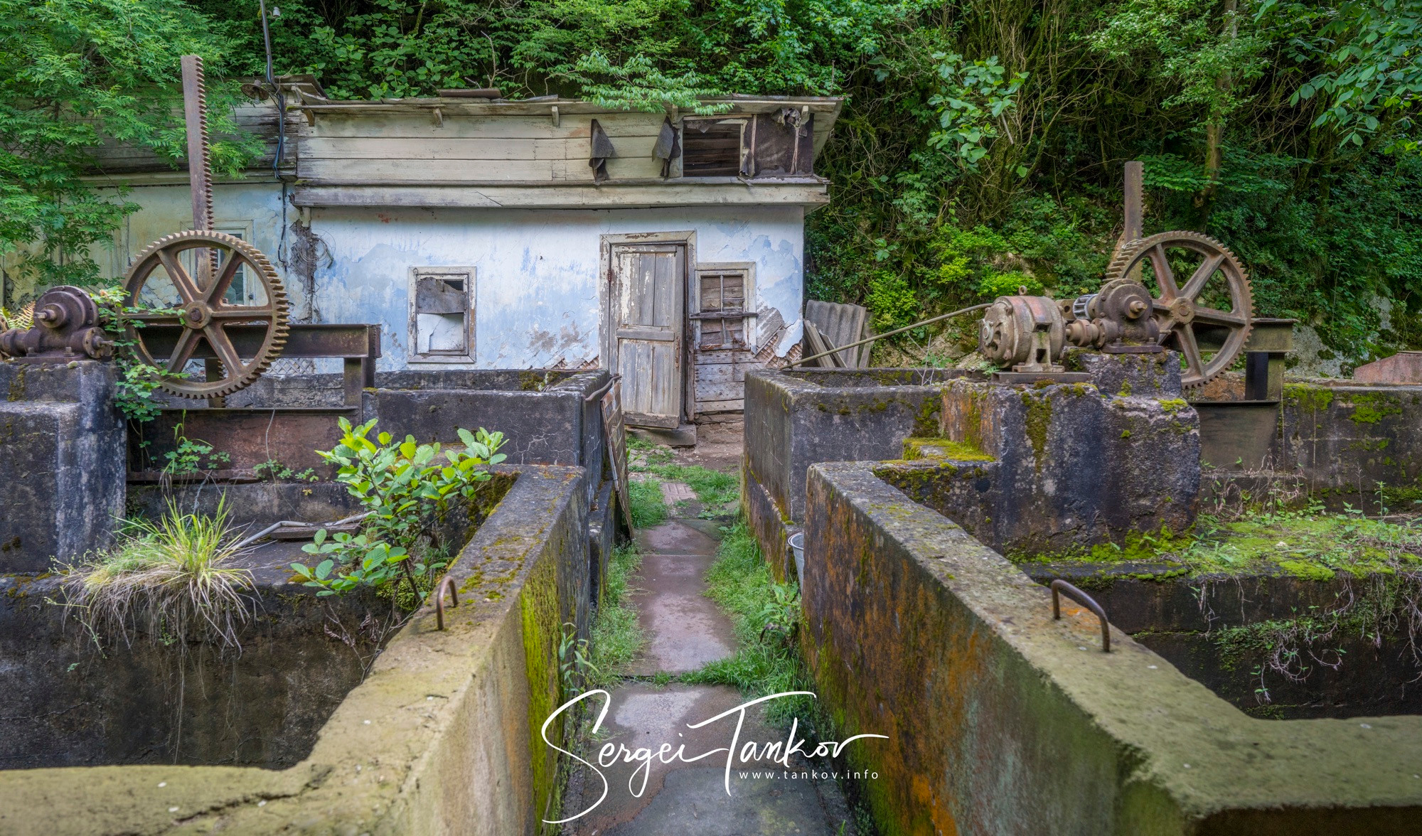 Абхазия (май 2019). Фотограф Сергей Танков