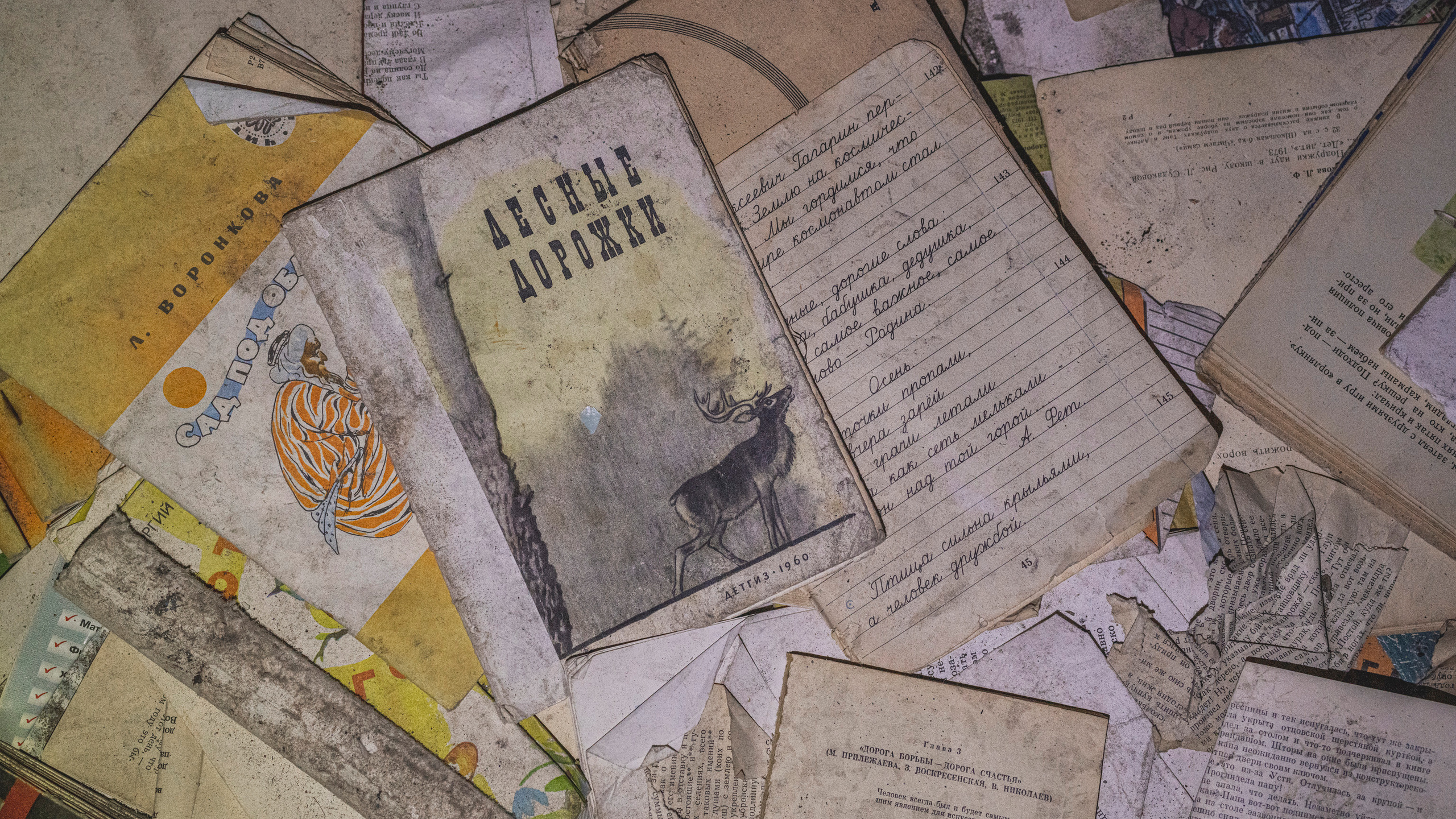 Териберка (октябрь 2020). Фотограф Сергей Танков