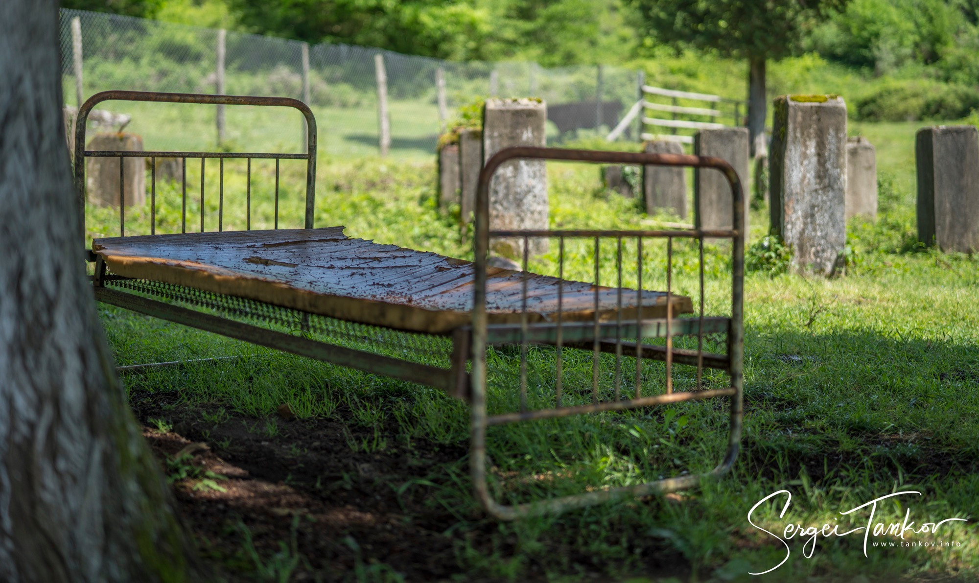 Абхазия (май 2019). Фотограф Сергей Танков