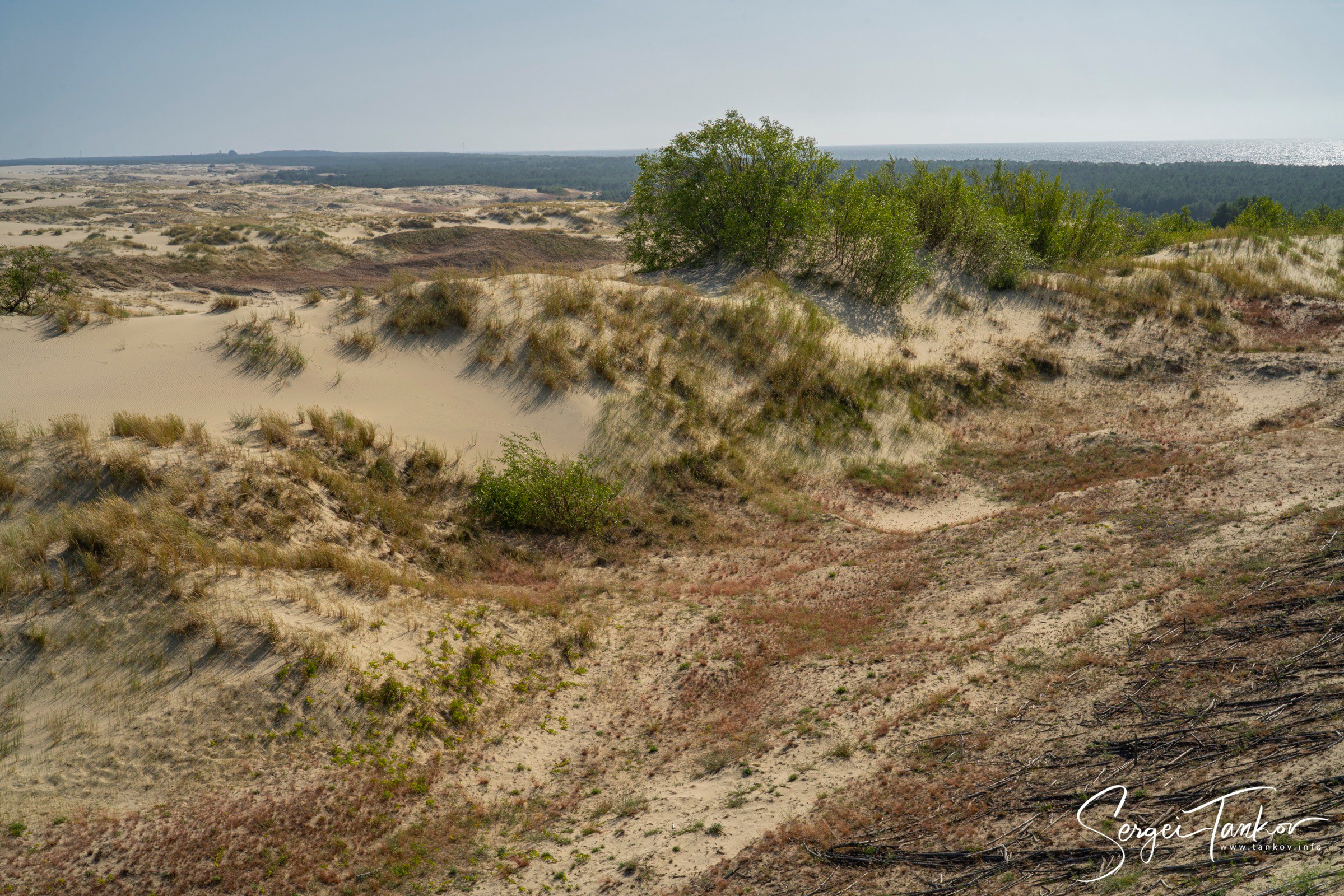 Калининград (июнь 2019). Фотограф Сергей Танков