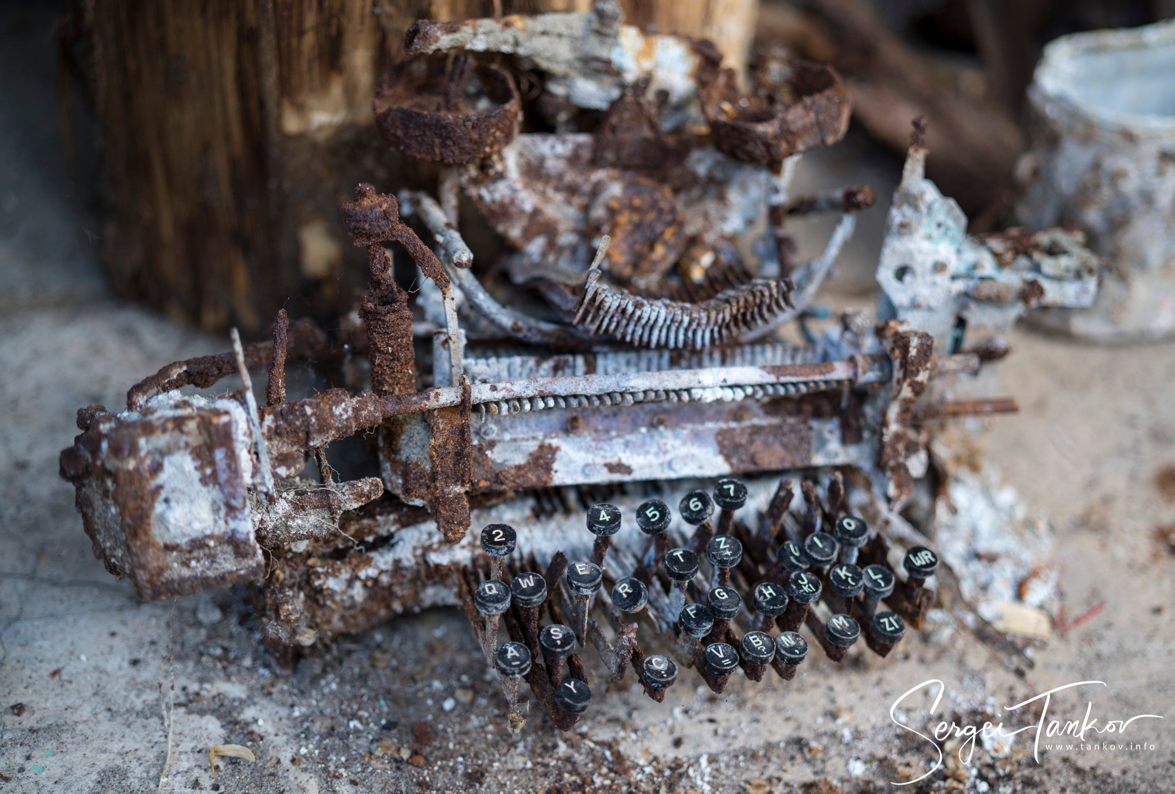 Калининград (июнь 2019). Фотограф Сергей Танков