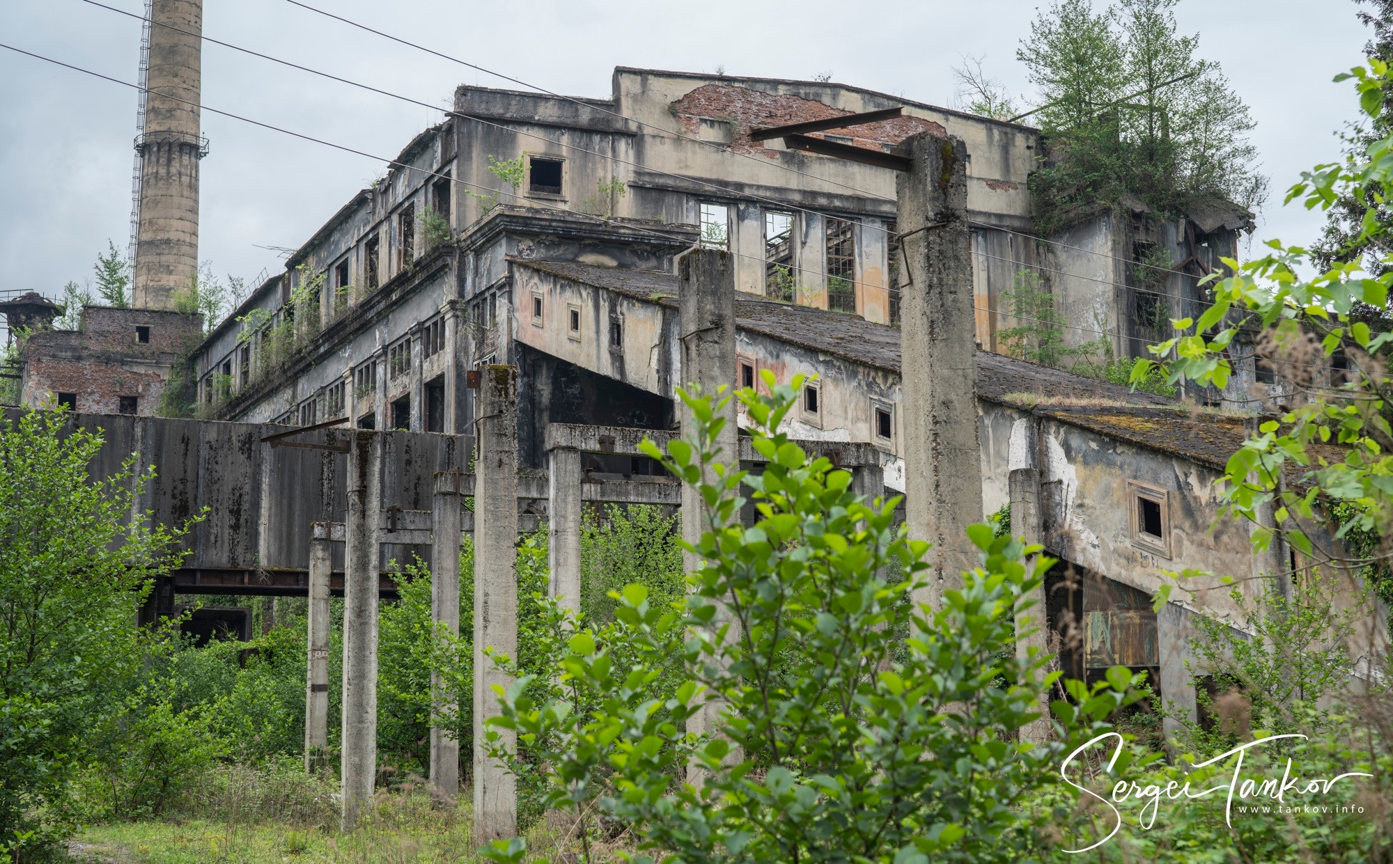 Абхазия (май 2019). Фотограф Сергей Танков