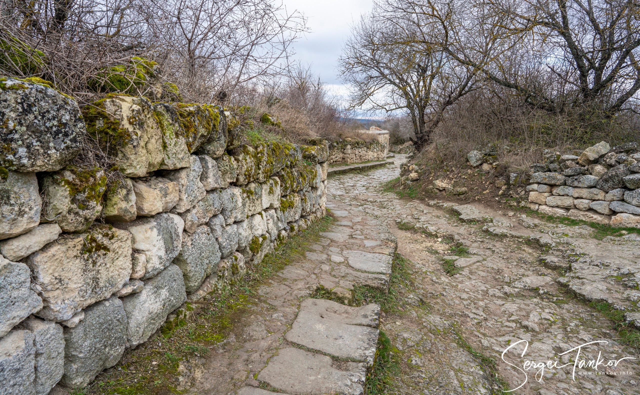 Крым (январь 2020). Фотограф Сергей Танков
