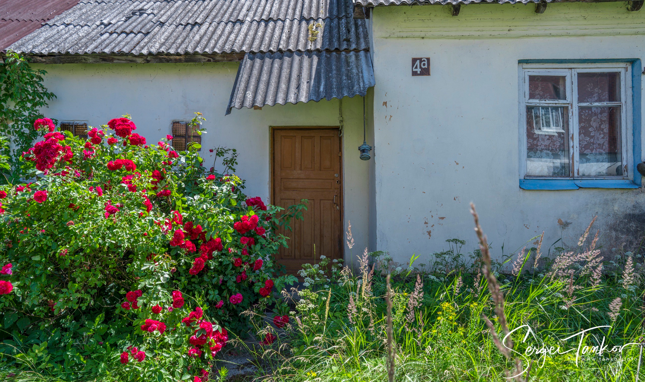 Калининград (июнь 2019). Фотограф Сергей Танков
